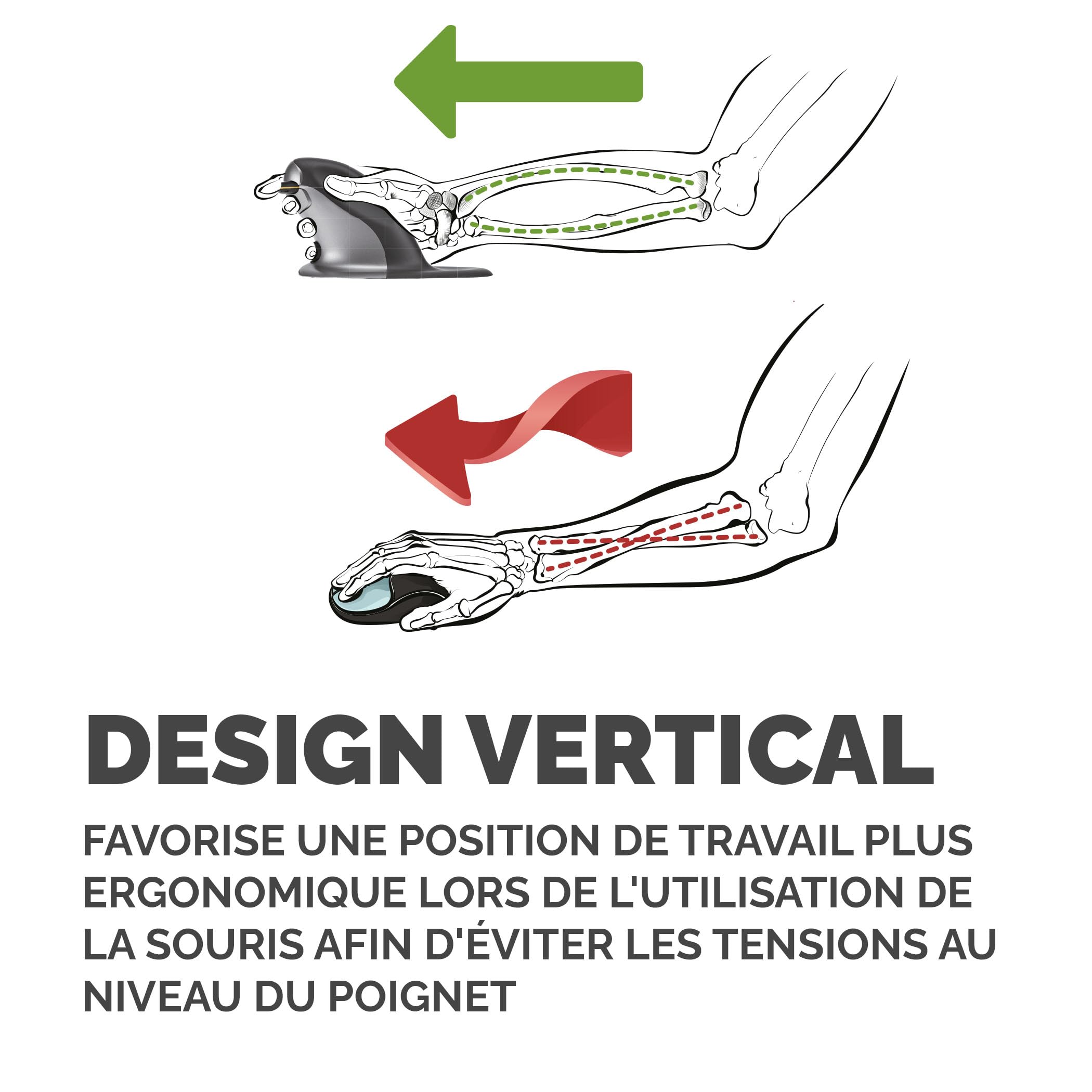 FELLOWES SOURIS VERTICALE AMBIDEXTRE PENGUIN SANS FIL - PETIT