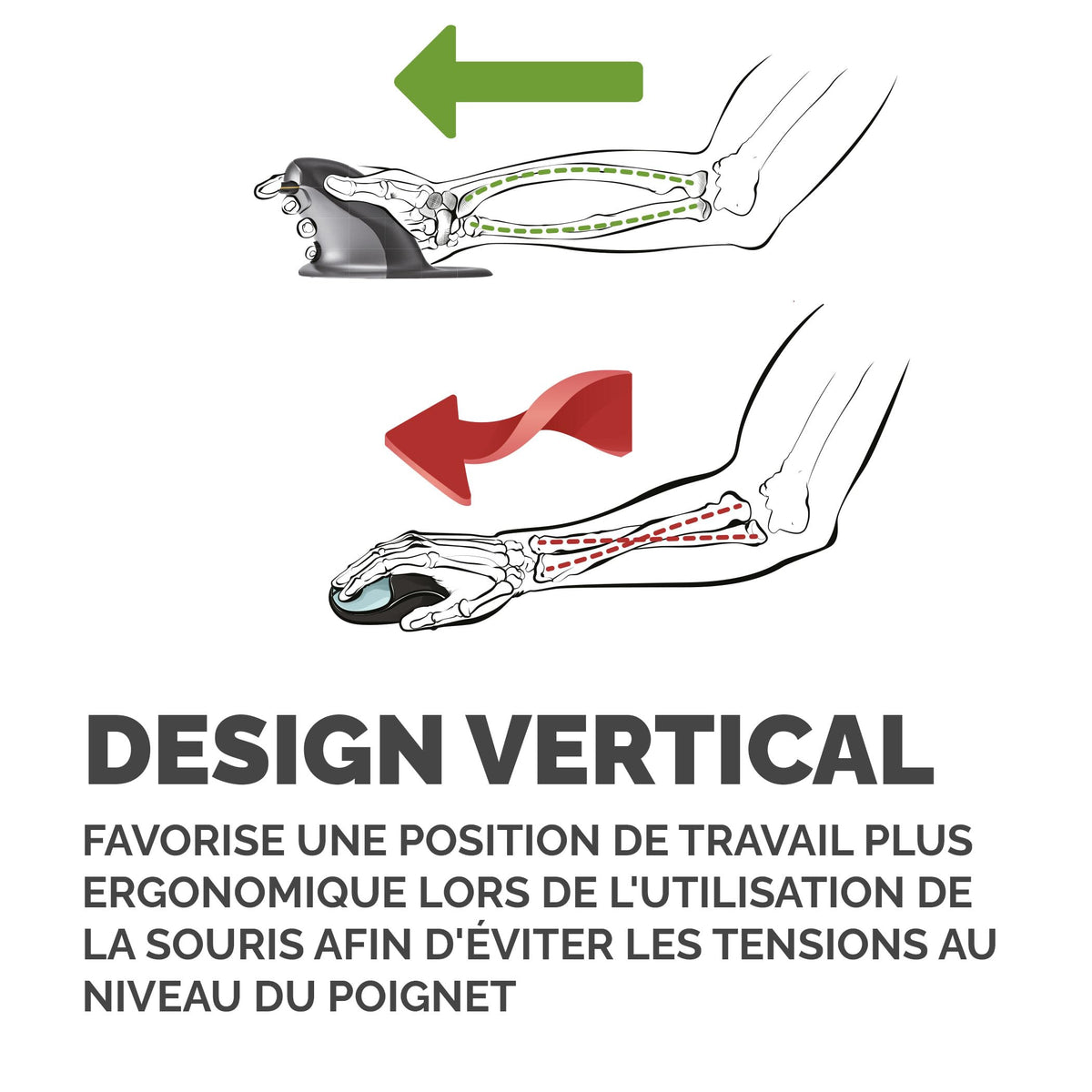 FELLOWES SOURIS VERTICALE AMBIDEXTRE PENGUIN SANS FIL - PETIT