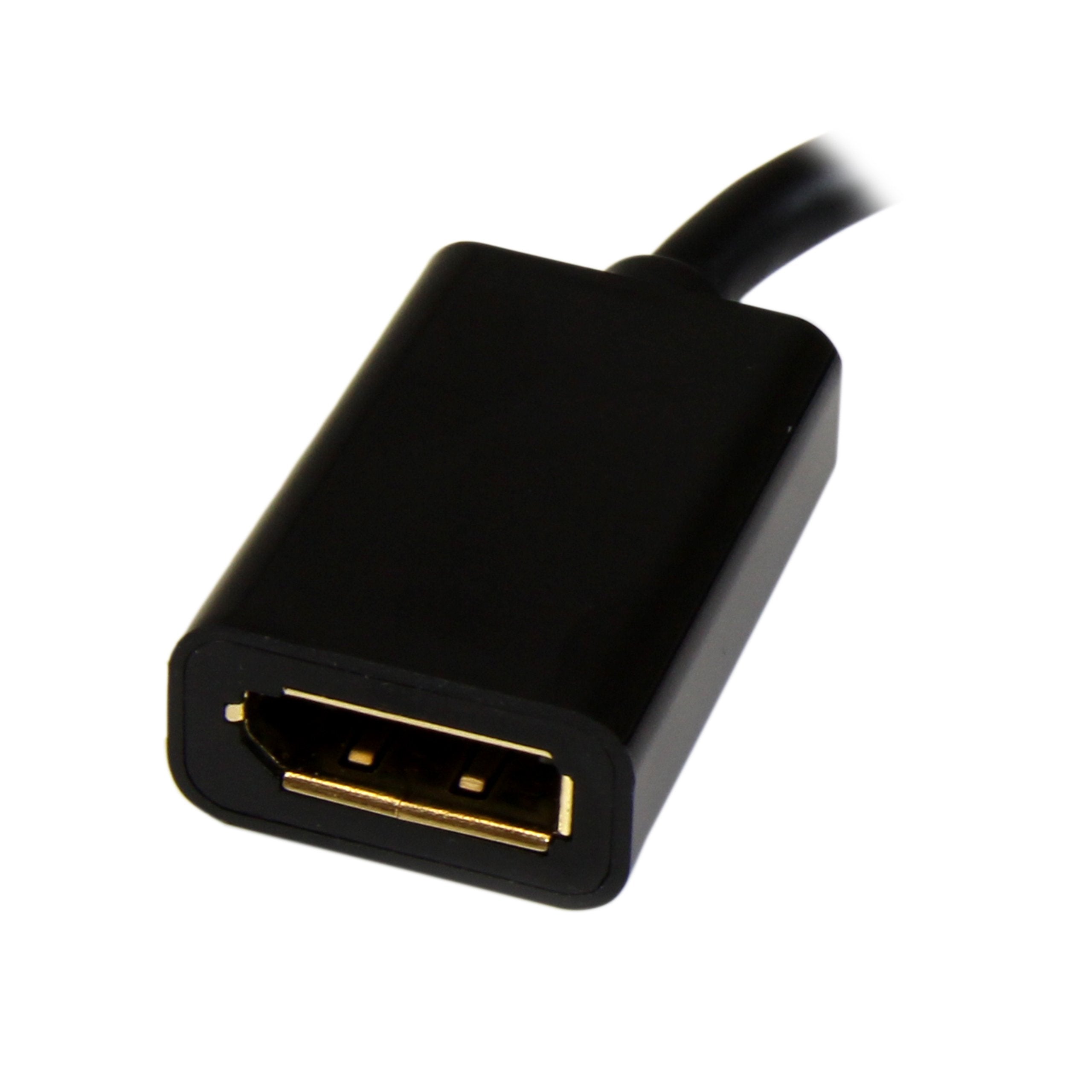 Mini DisplayPort to DisplayPort Adapter