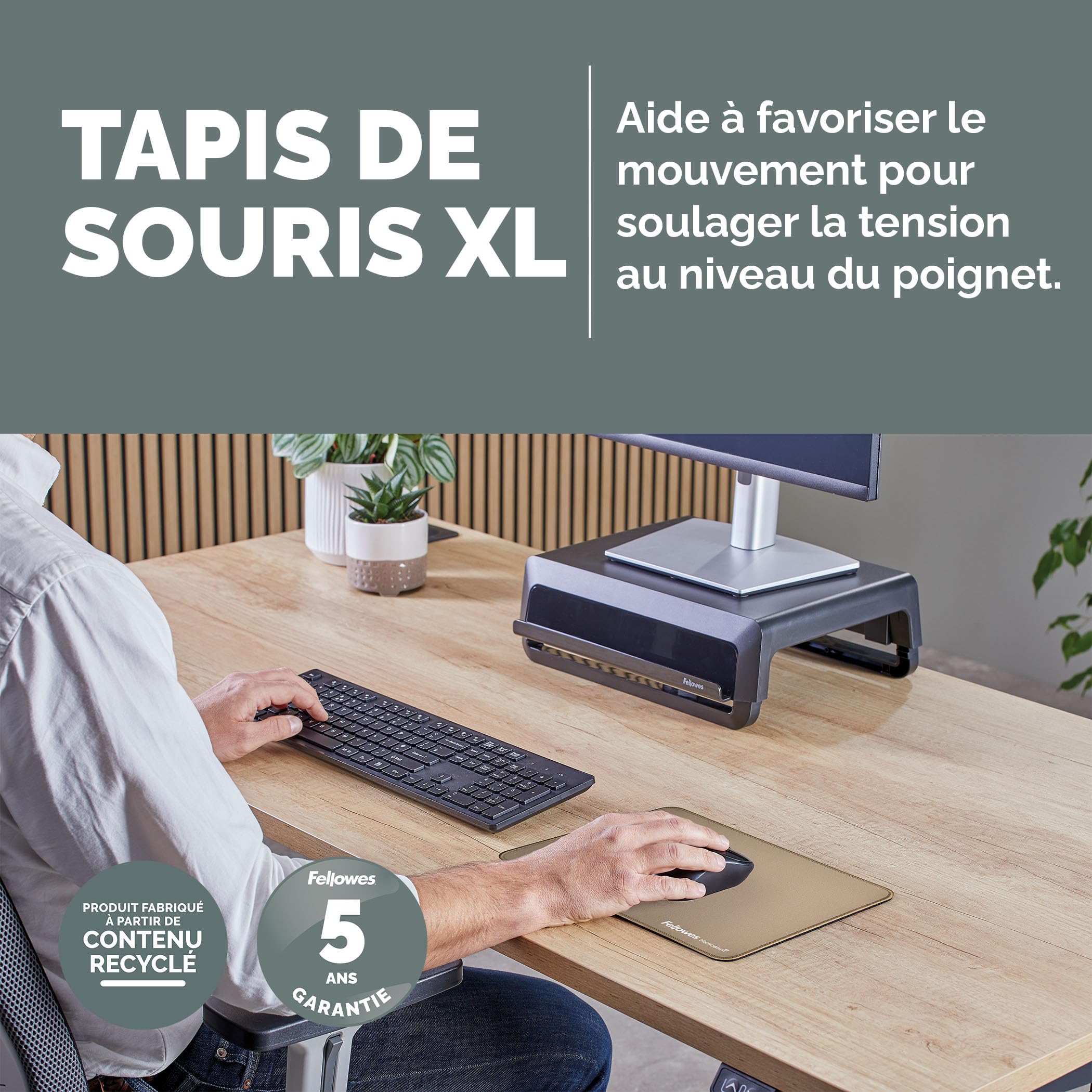 FELLOWES TAPIS DE SOURIS XL SABLE BREYTA