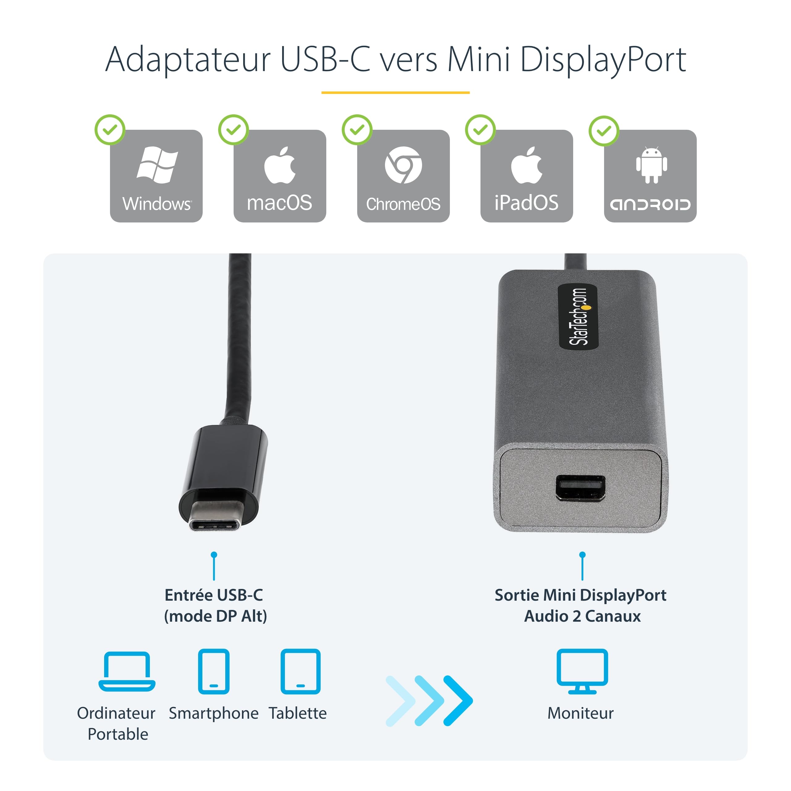 USB C to Mini DisplayPort Adapter 4K60Hz