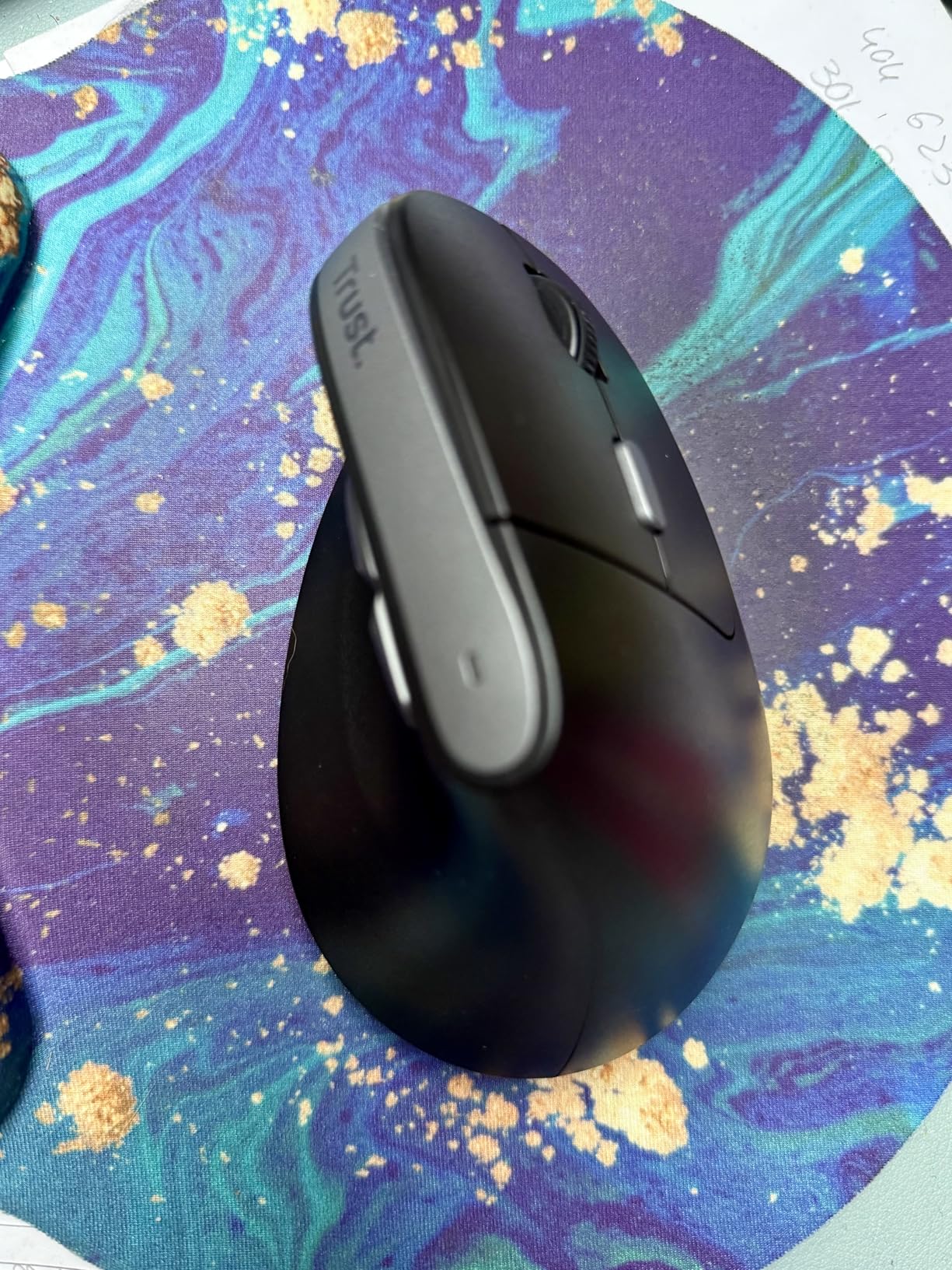 TRUST Souris sans fil ergonomique VERTO - Noire