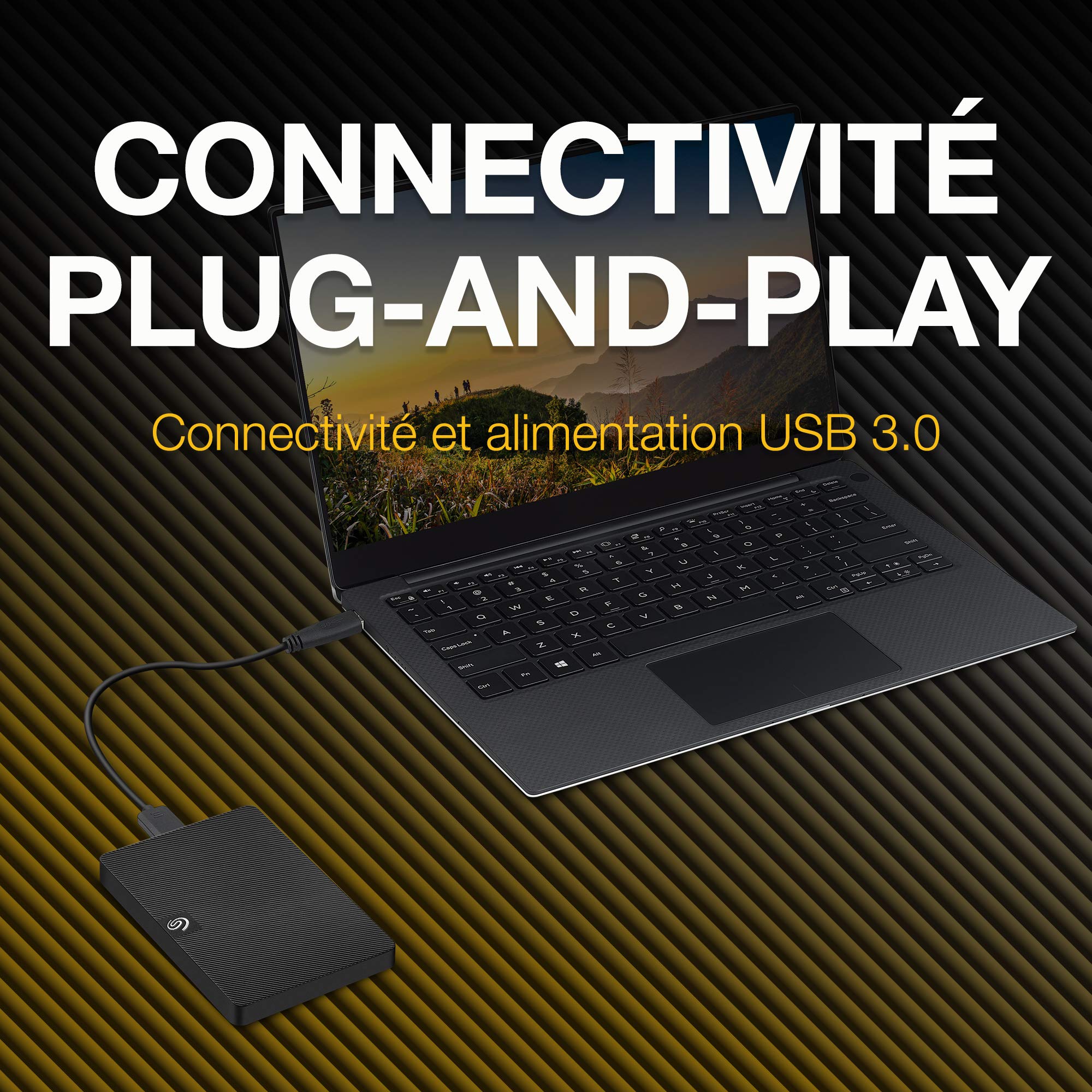 SEAGATE Expansion Portable 1To HDD USB3.0 2.5p RTL extern