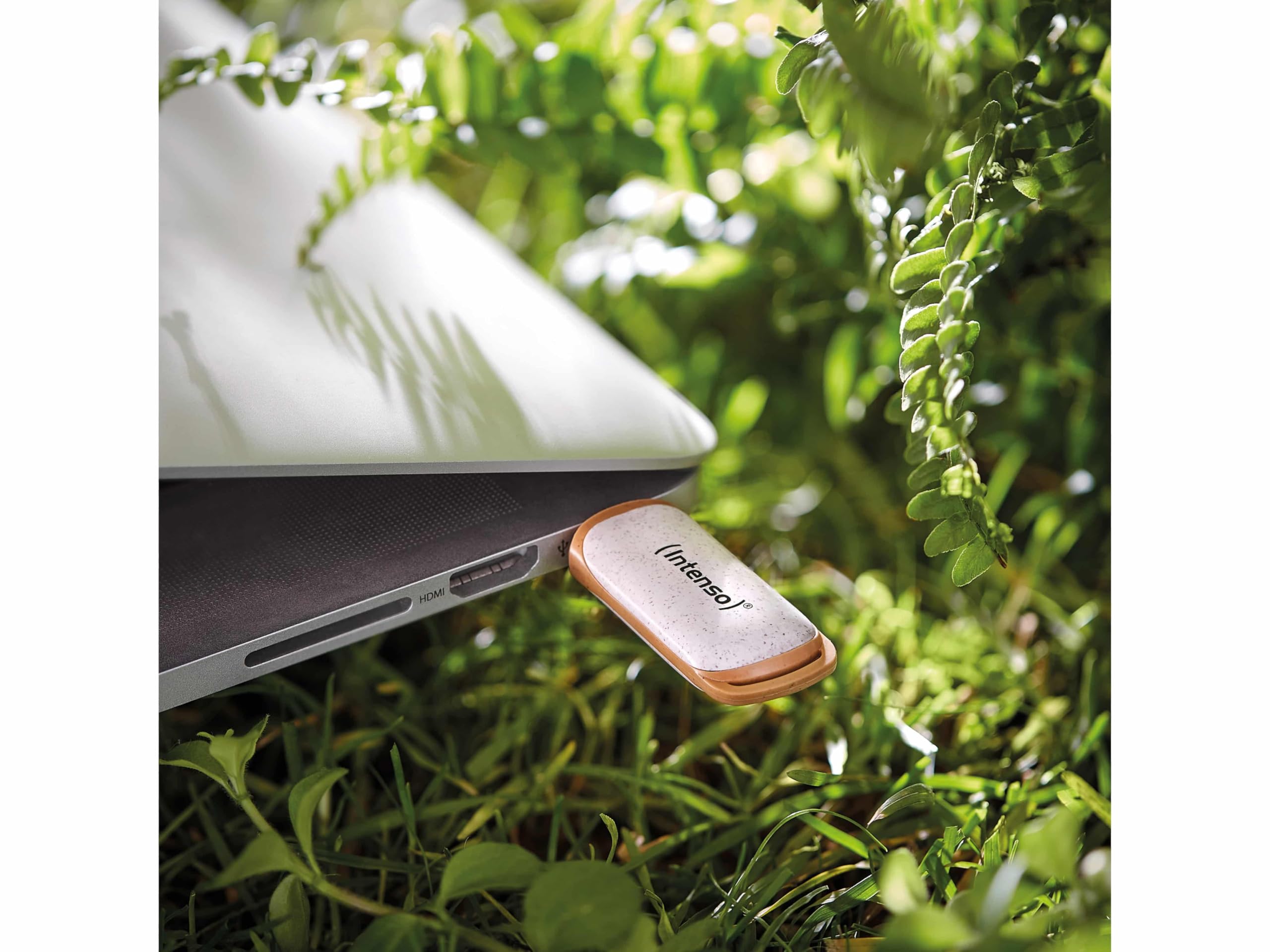 INTENSO Clé USB 3.2 Green Line 64 Gb