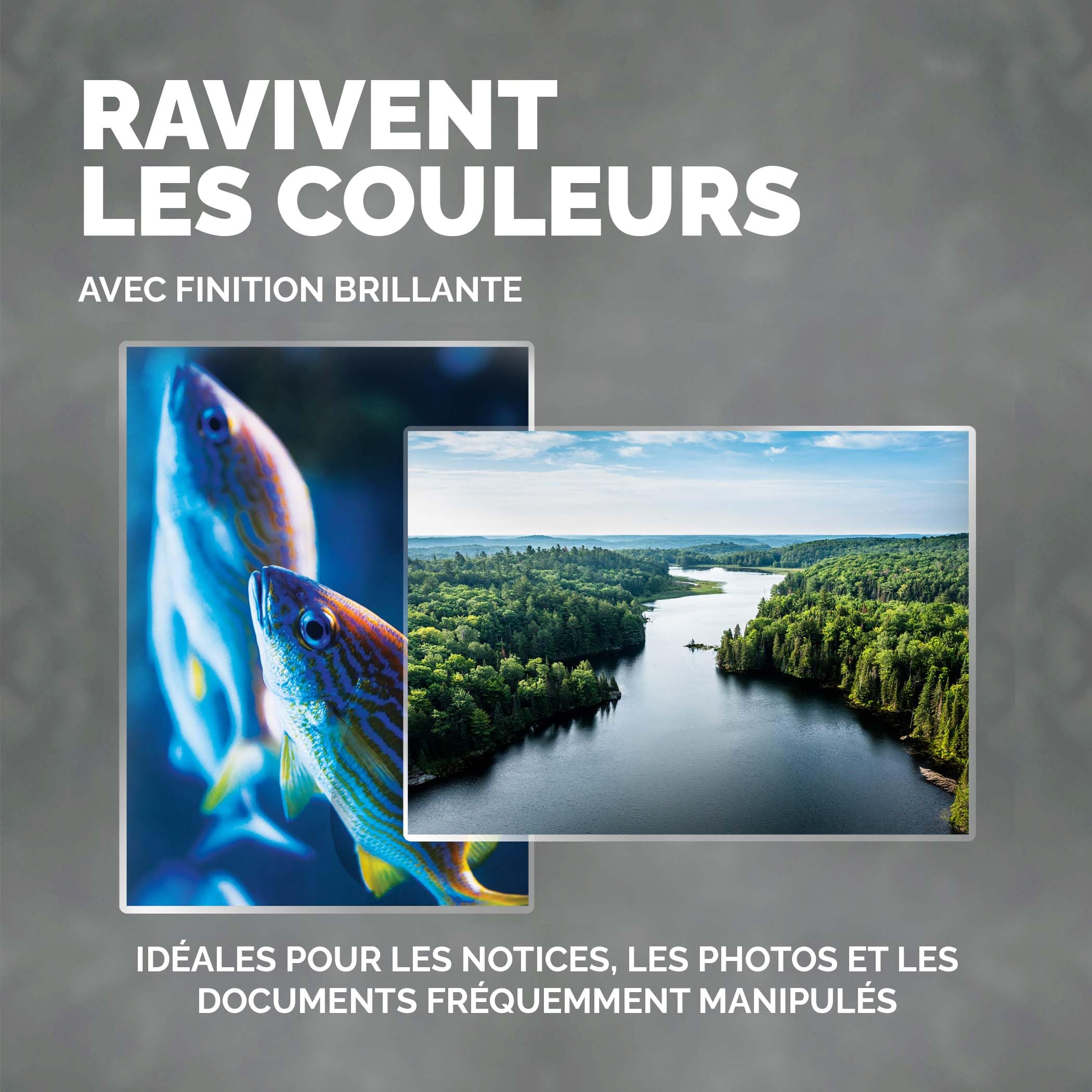 FELLOWES Pochettes ImageLast A4 80 microns - Pack de 100