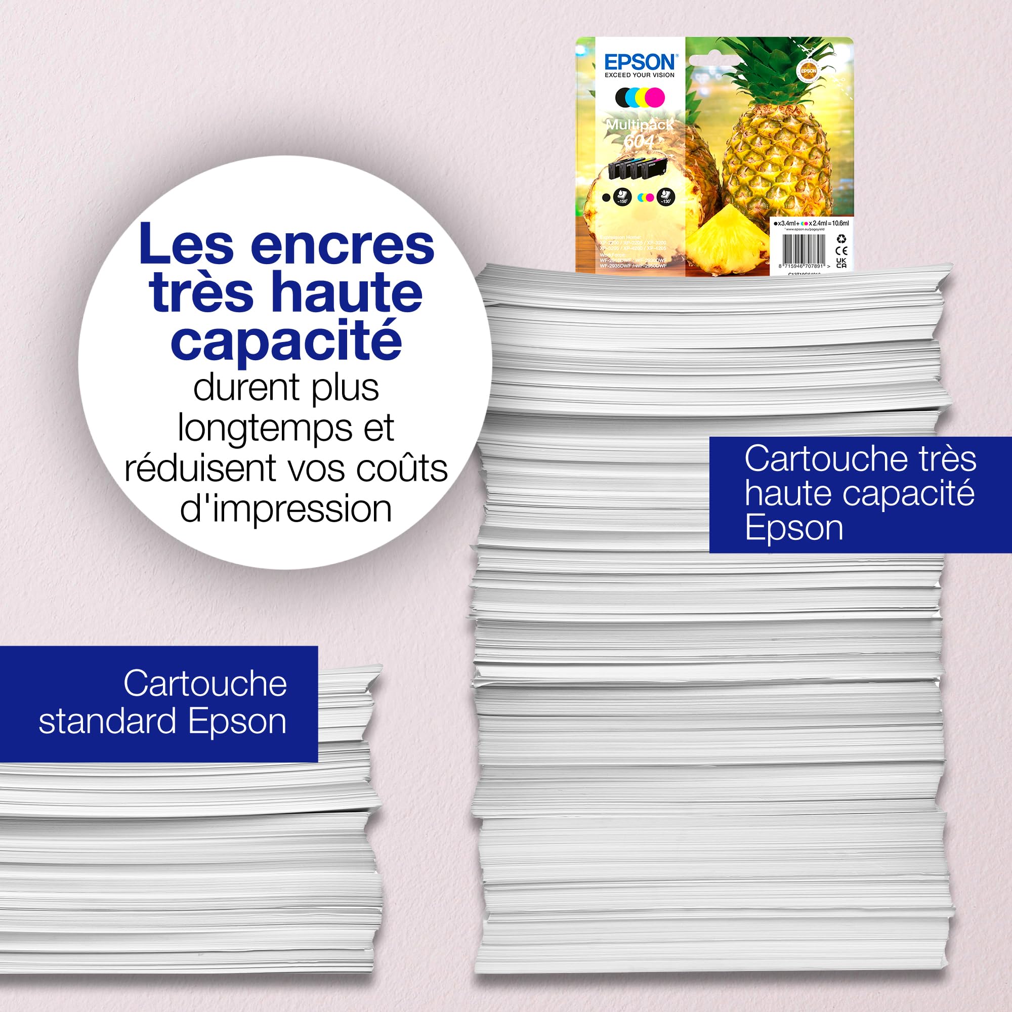 EPSON 1LB Multipack 4colours 604XL Ink