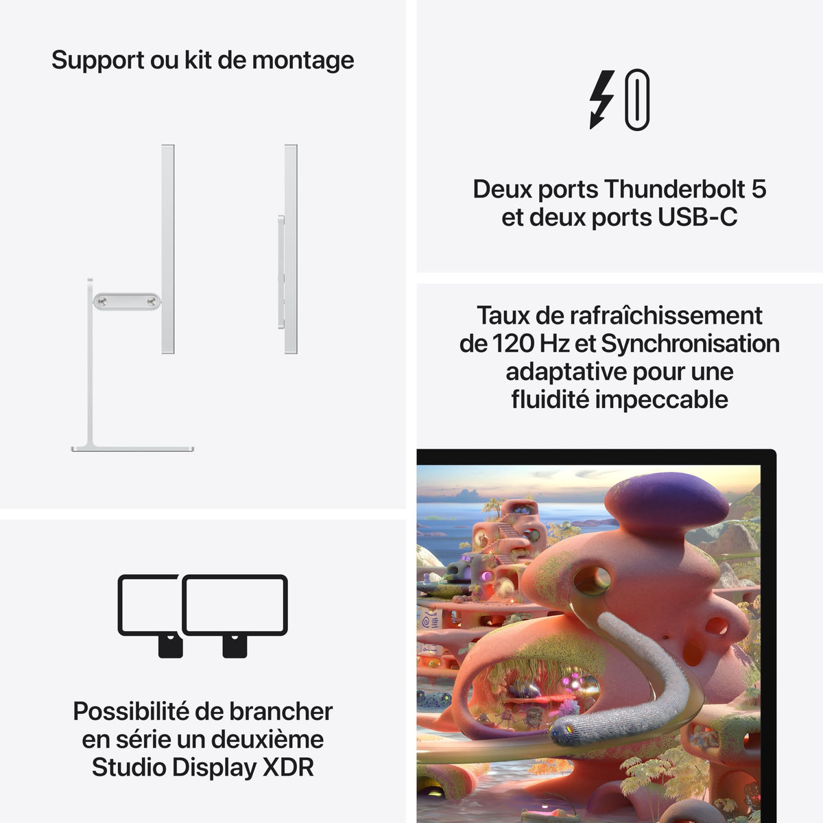 Studio Display XDR Std/Height/1M