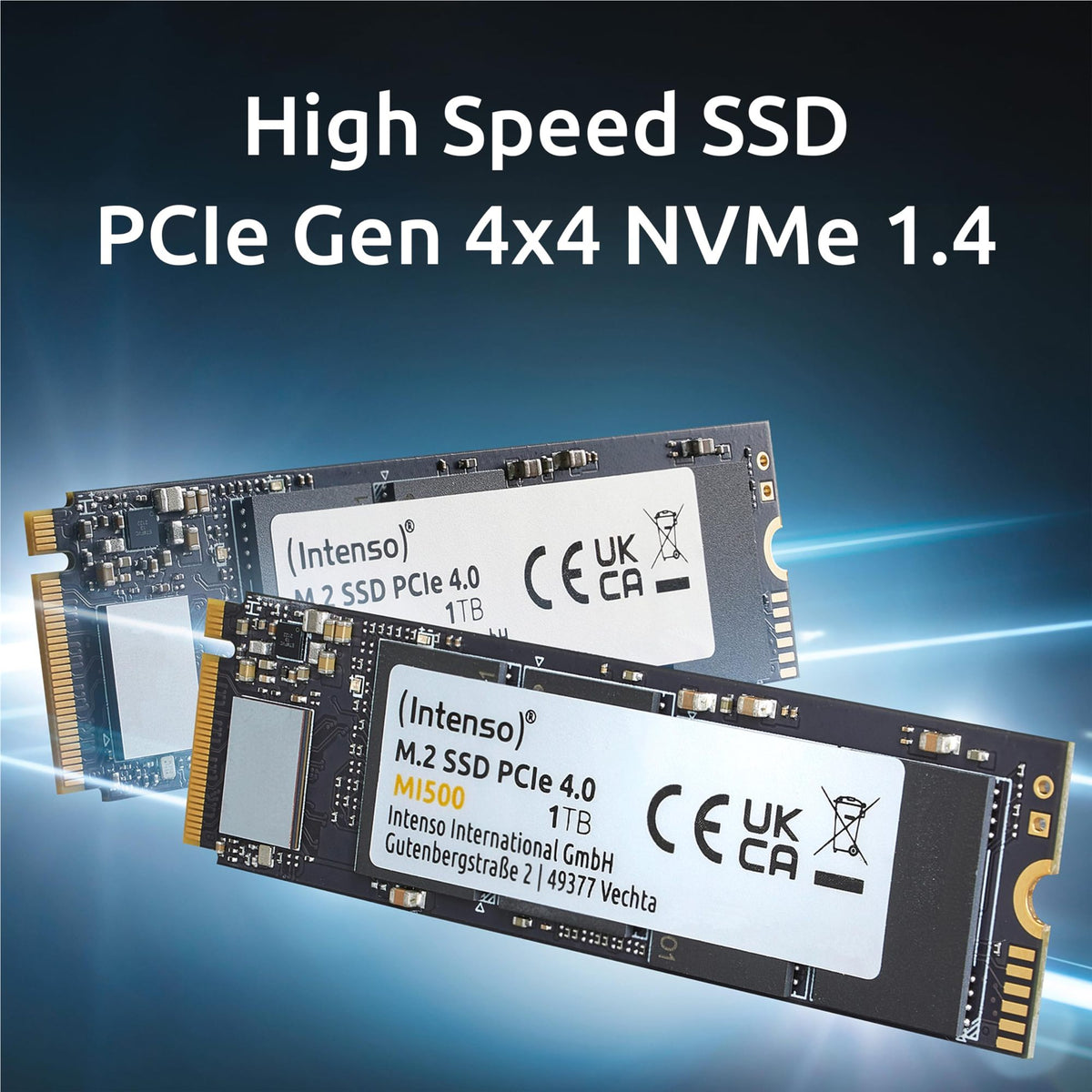 INTENSO MI500 - Disque M.2 - 1 To - NVMe Gen4