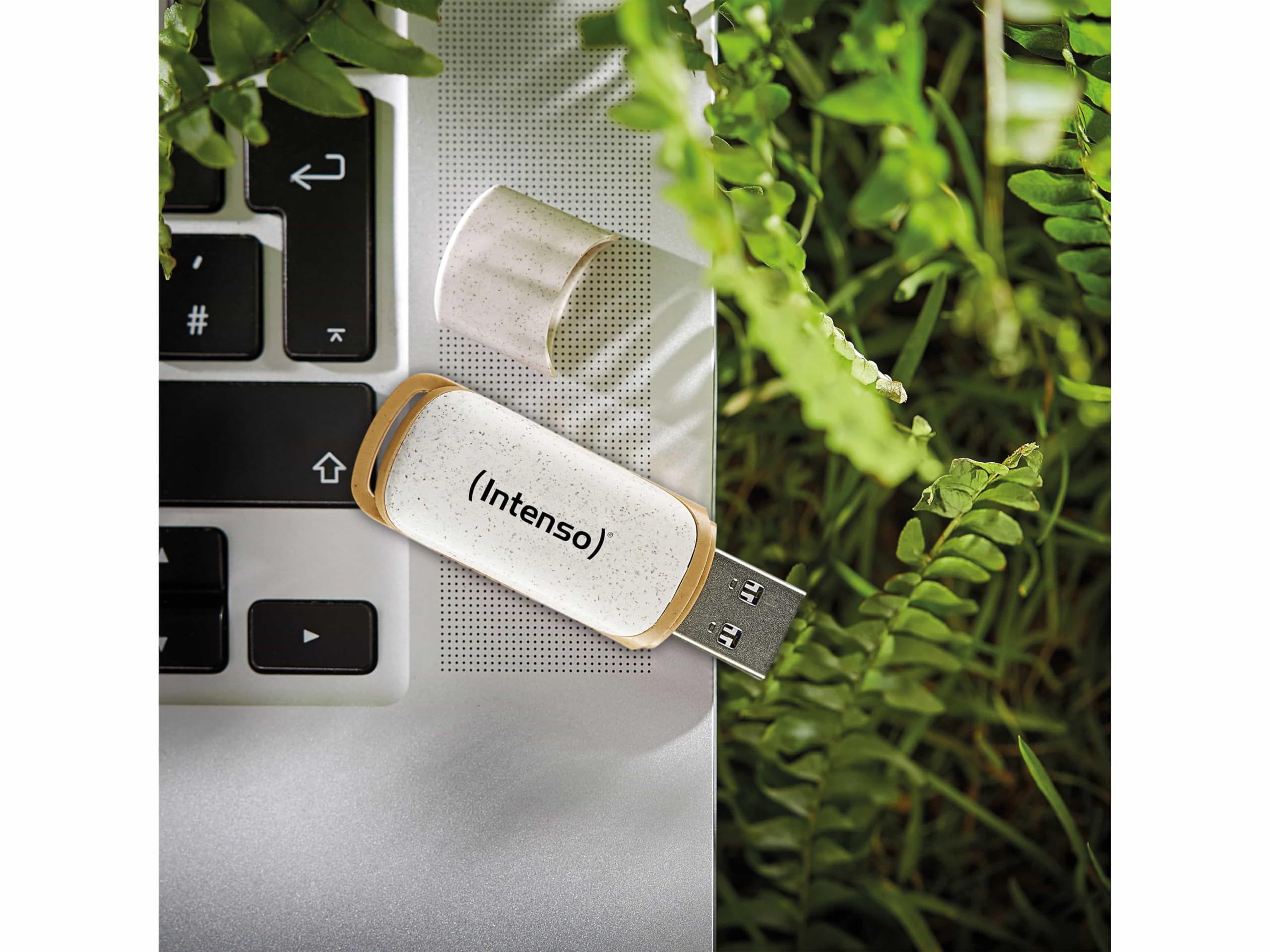 INTENSO Clé USB 3.2 Green Line 64 Gb