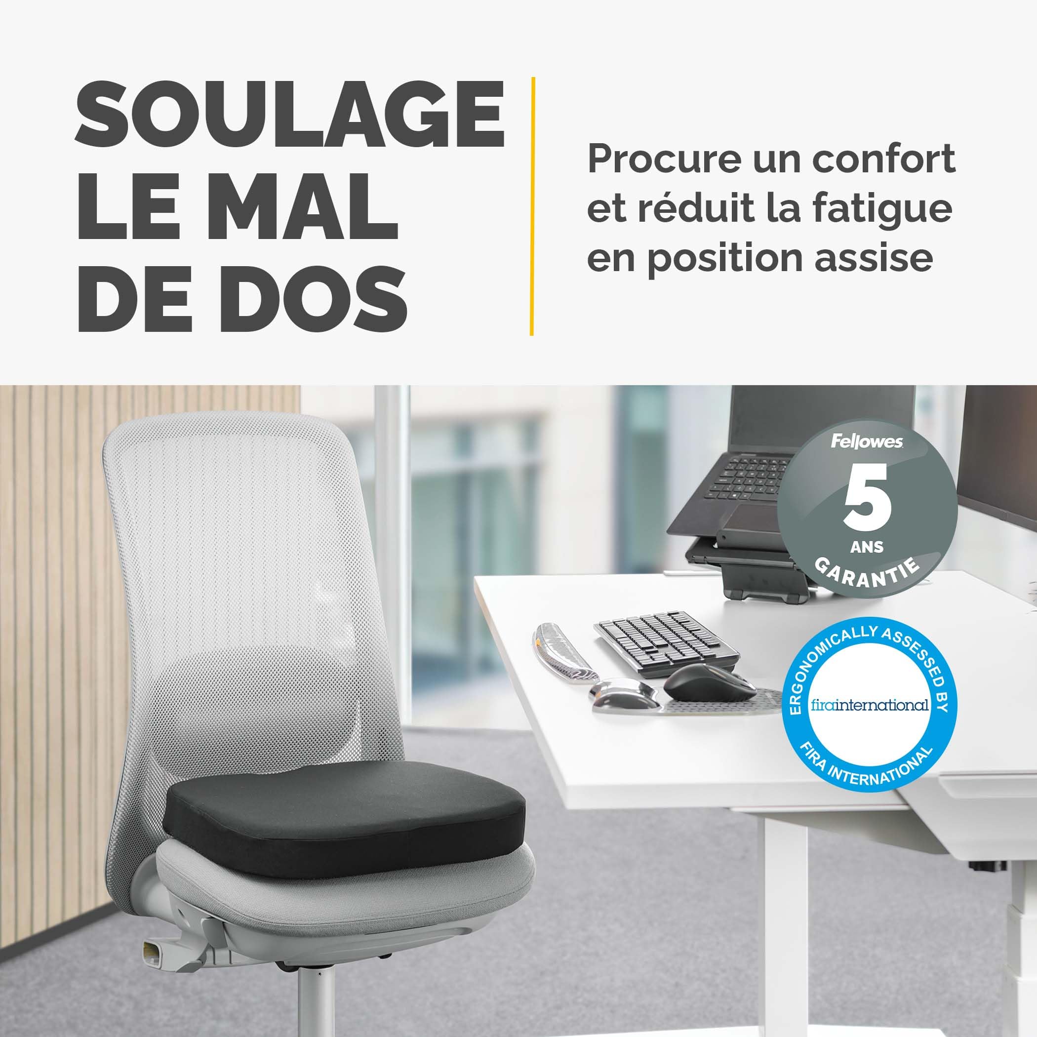 FELLOWES Coussin dassise Breyta