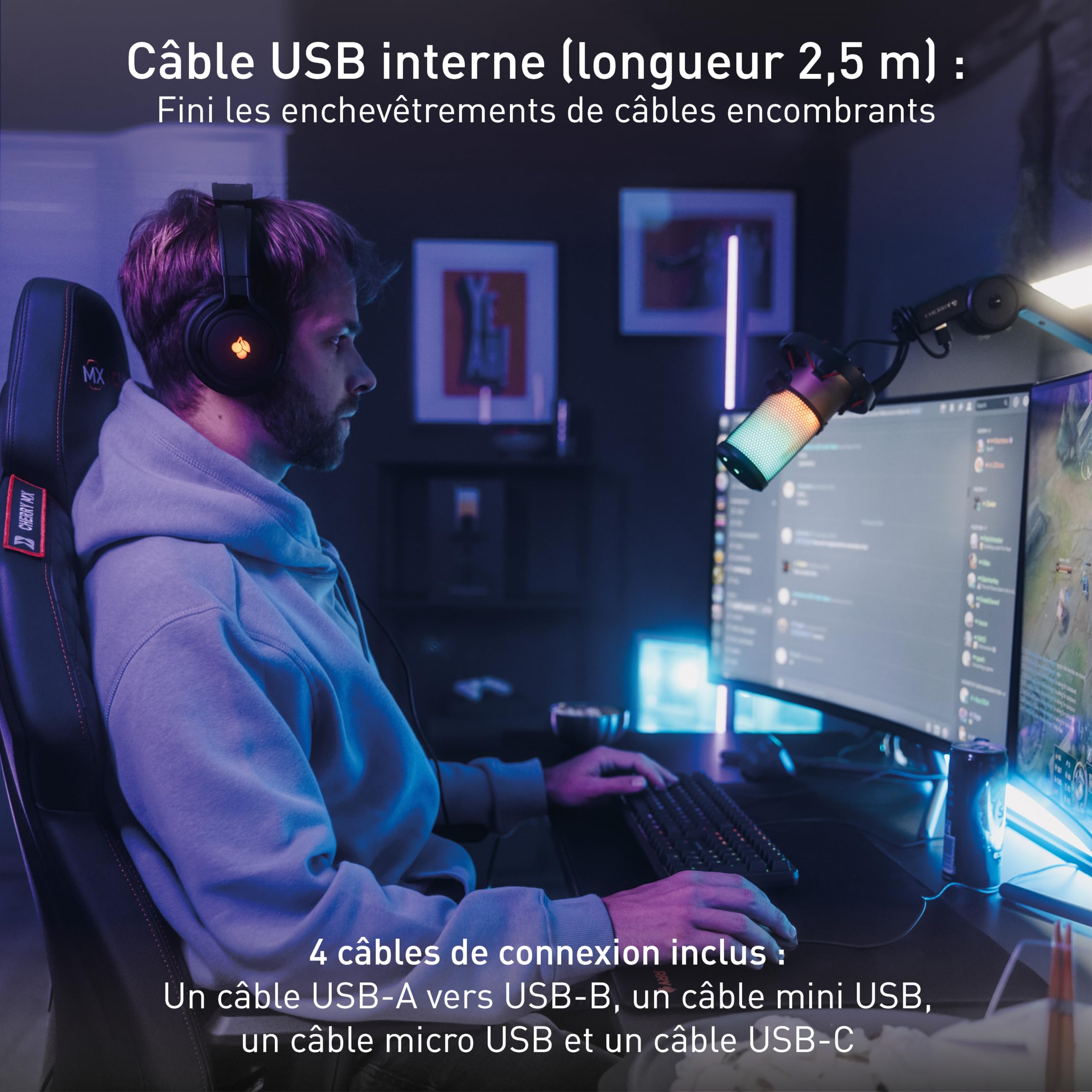 CHERRY Bras de microphone MA 6.0 UNI USB avec hub intégré