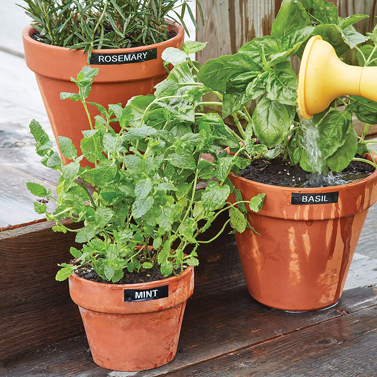 DYMO Etiqueteuse LabelManager 160 portable