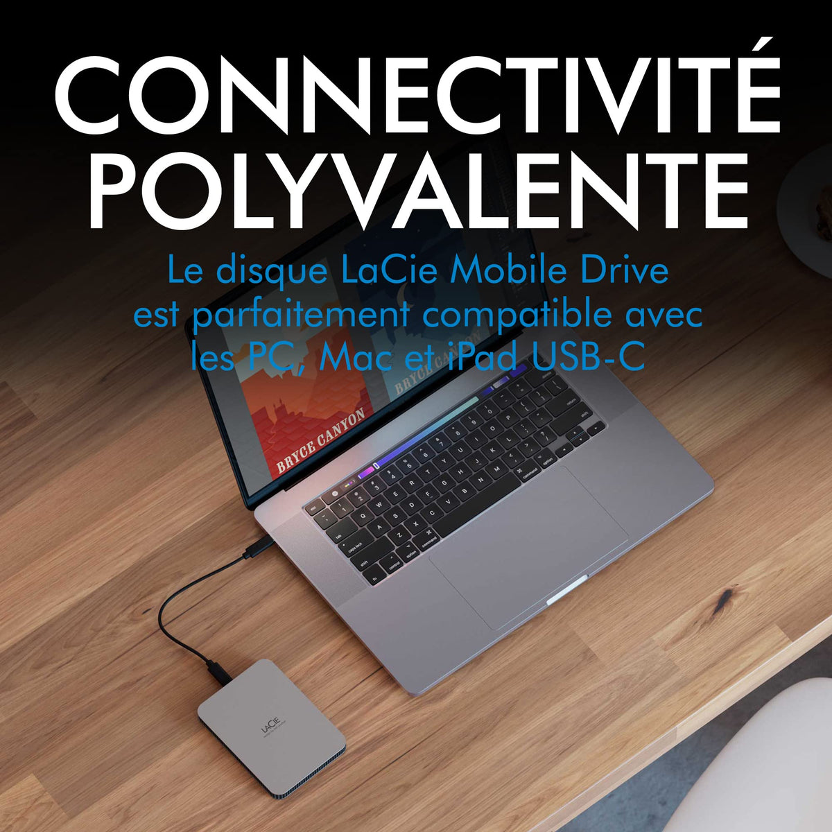 LACIE Mobile Drive HDD USB-C 1To 2.5p Moon Silver with USB-C cable