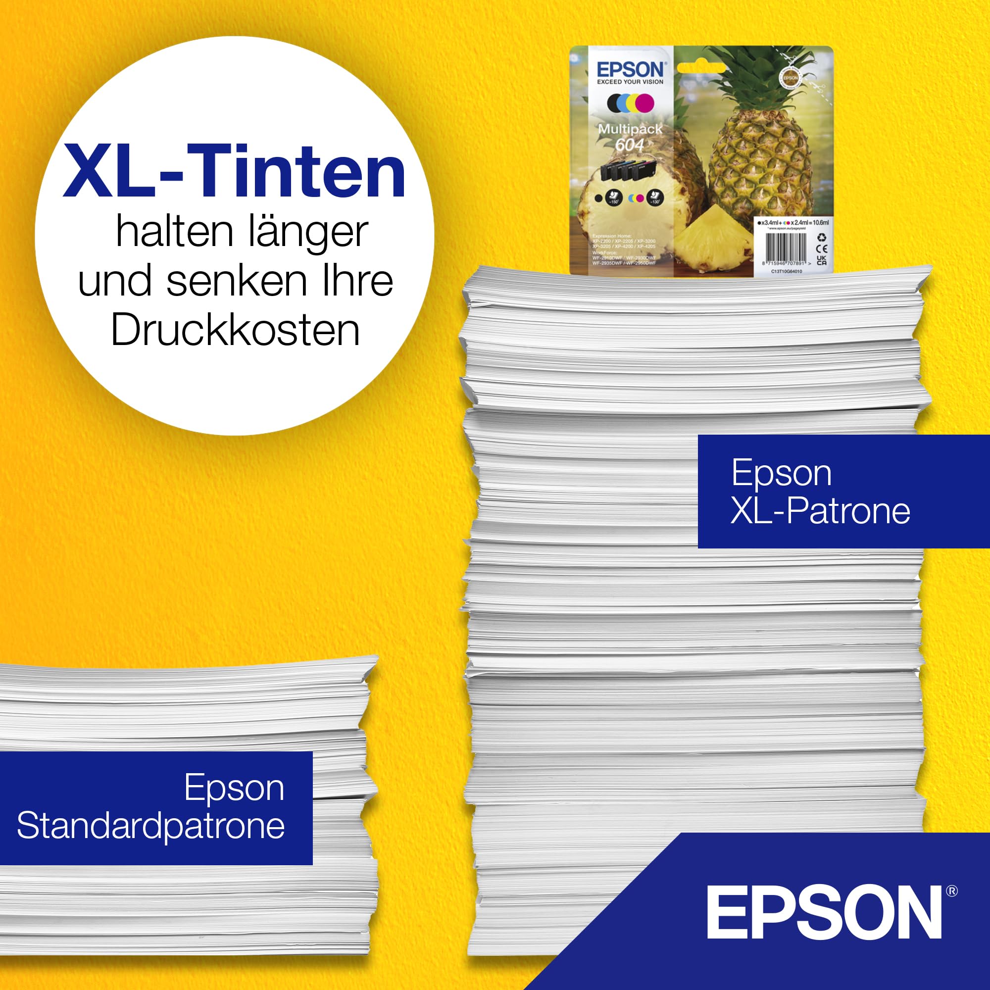 EPSON 1LB Multipack 4colours 604XL Ink w/s