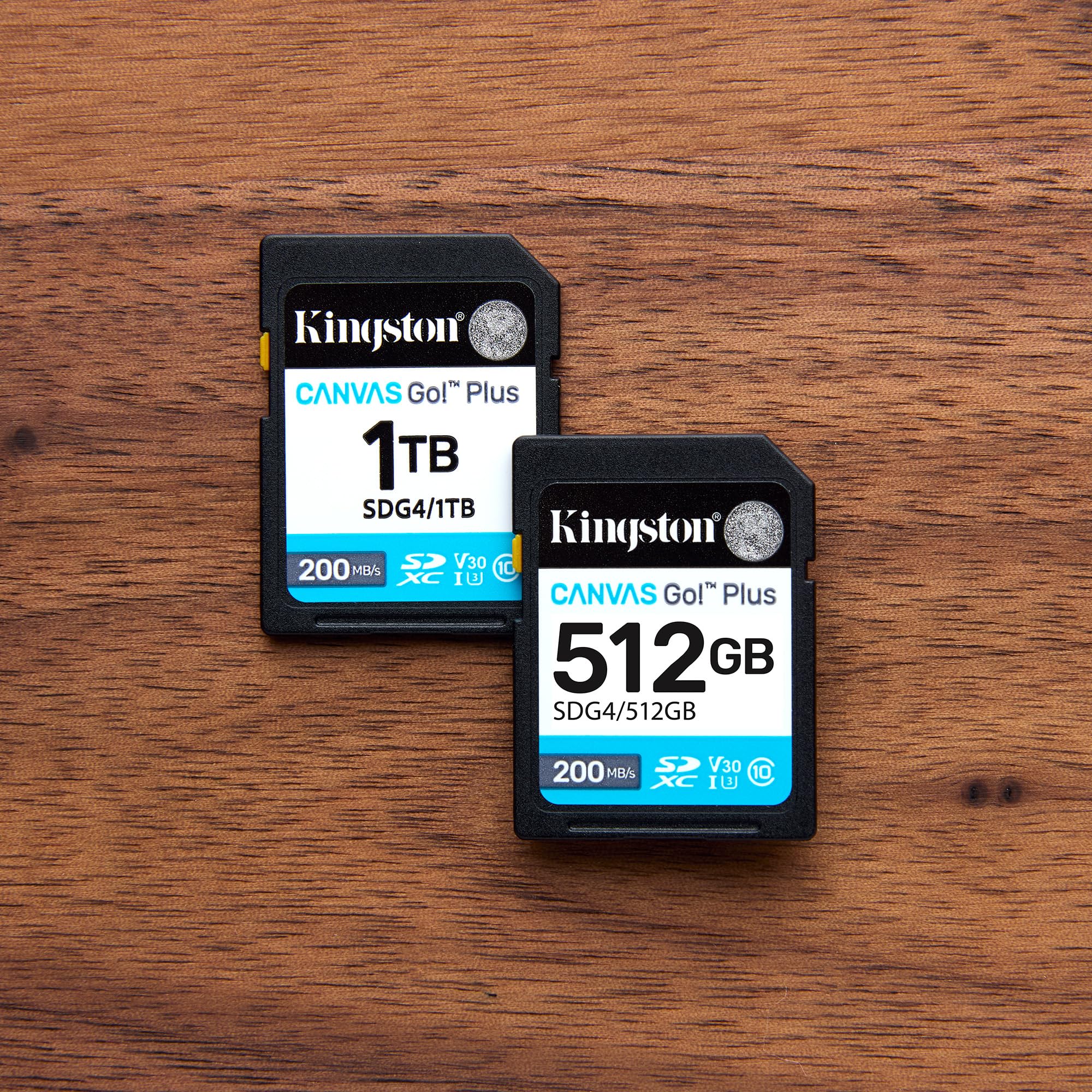 KINGSTON 64Go SDXC Canvas Go Plus Gen4 200Mo/s C10 UHS-I U3 V30