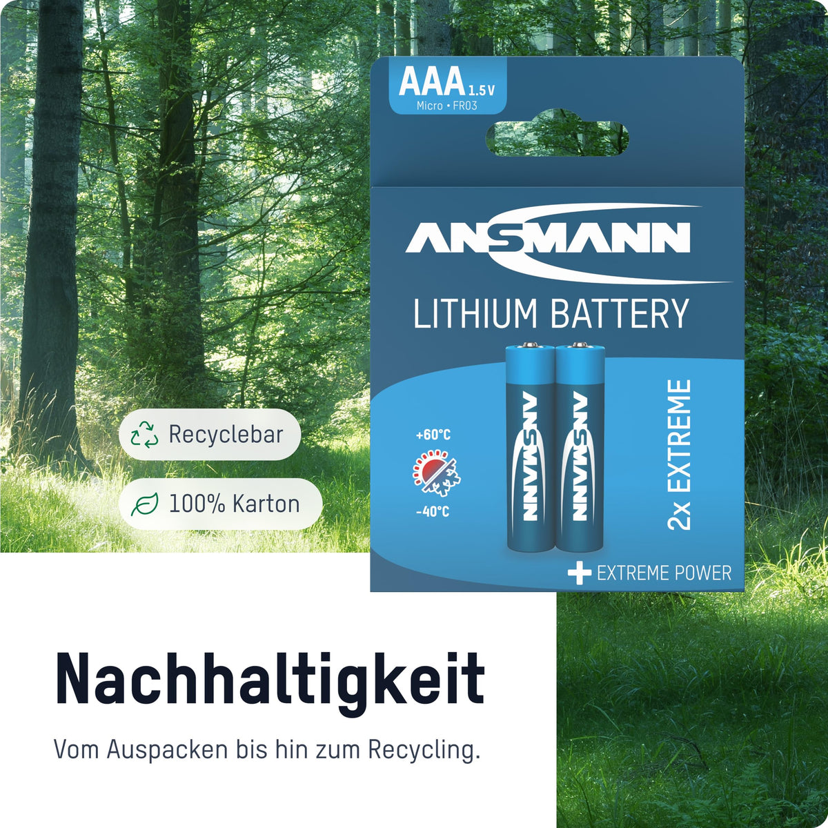 ANSMANN Piles lithium 5021013 FR03 / AAA blister de 2