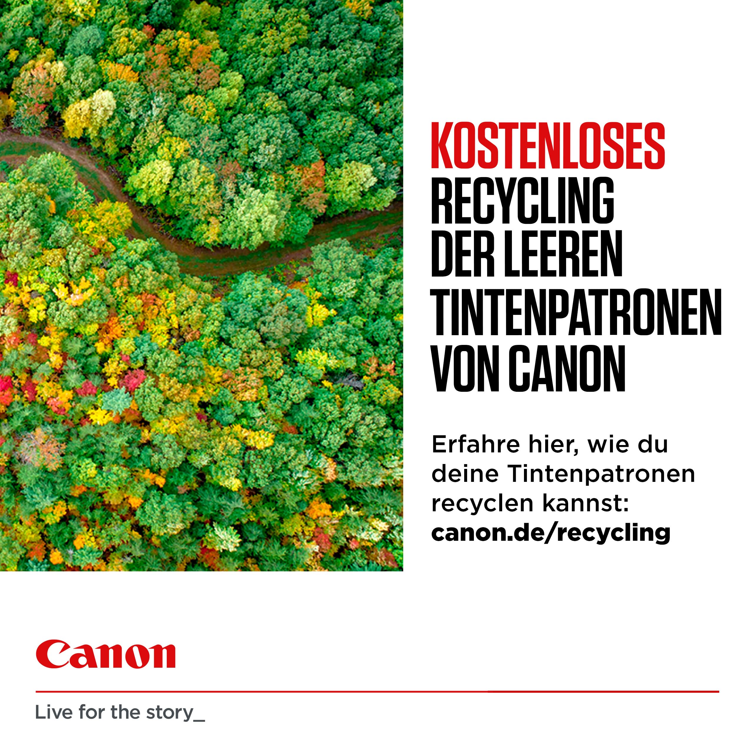 CANON CLI-581 Ink Cartridge C/M/Y/BK MULTI BL
