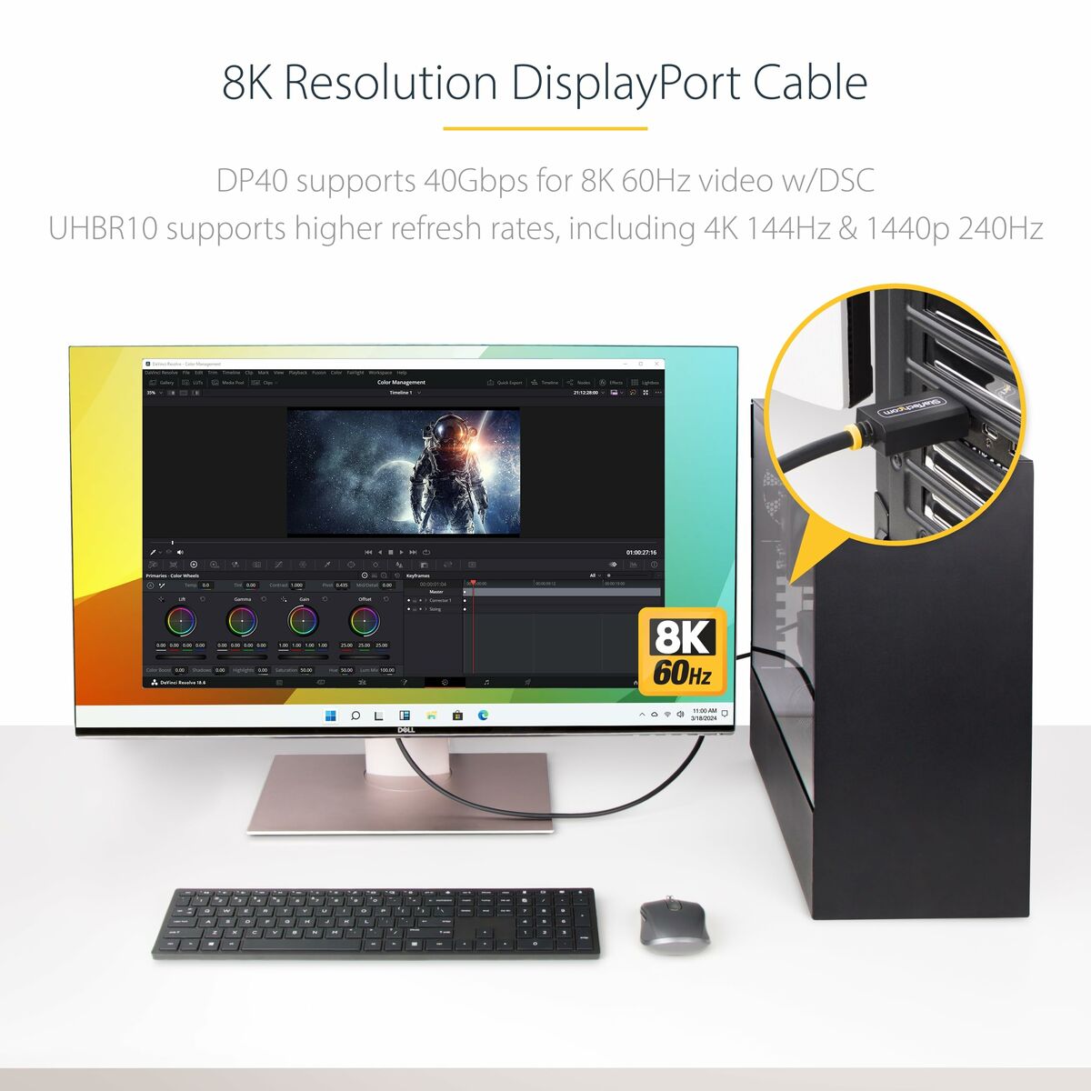 3m 10ft Certified DisplayPort Cable