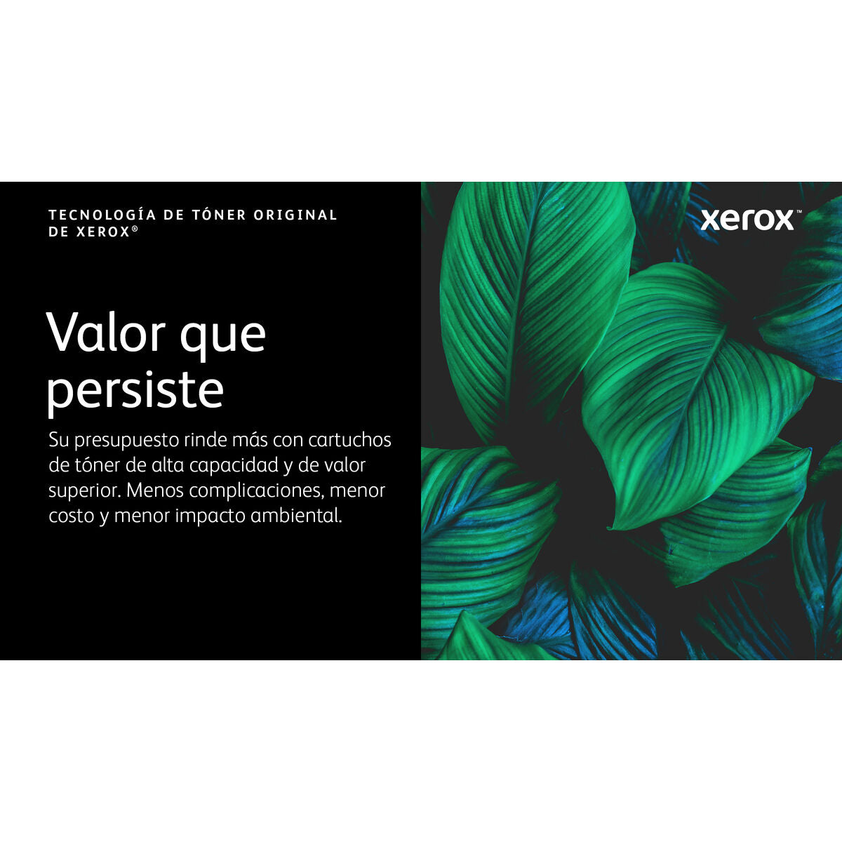 VersaLink C620 BK High Capacity Toner Ca