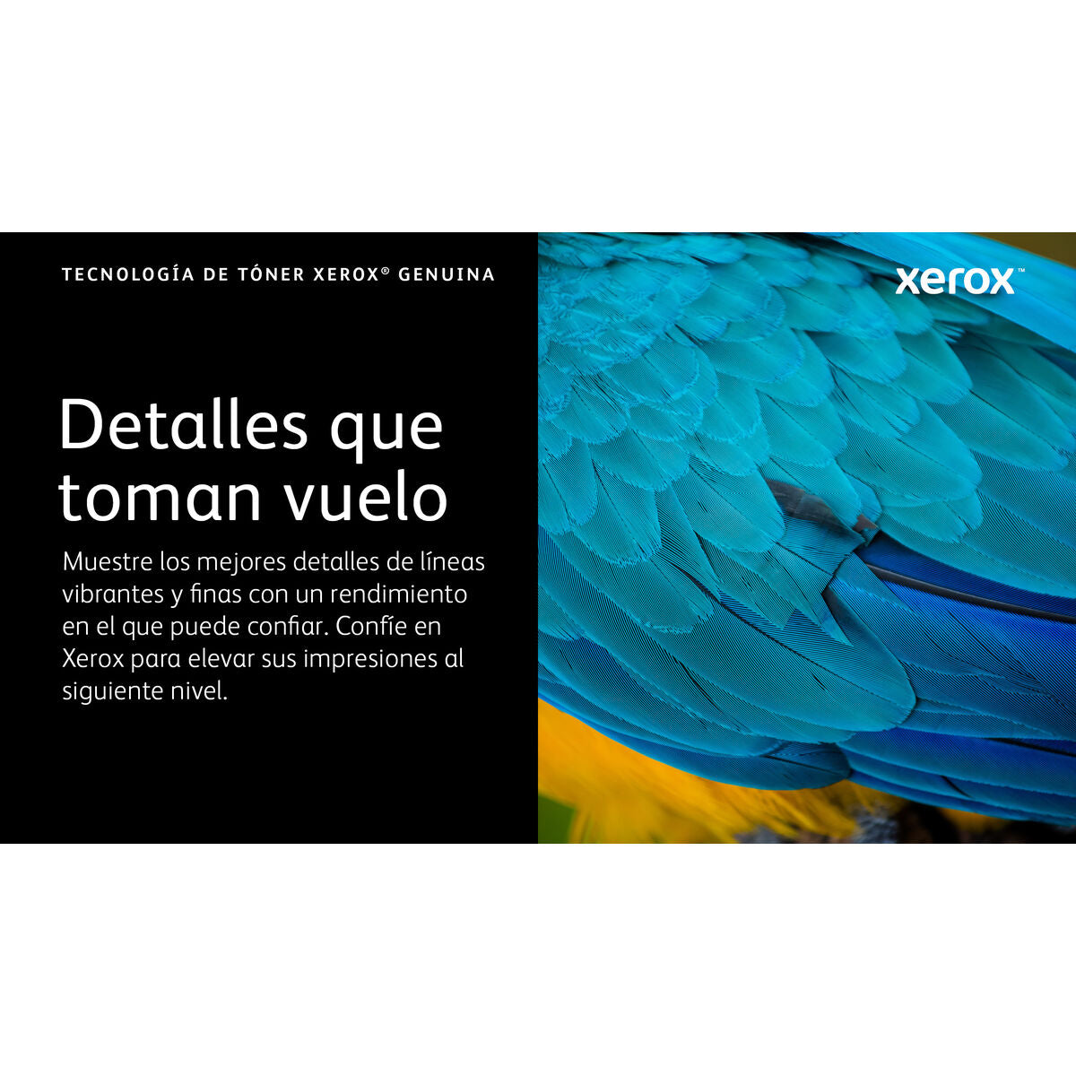 VersaLink C620 MG High Capacity Toner Ca
