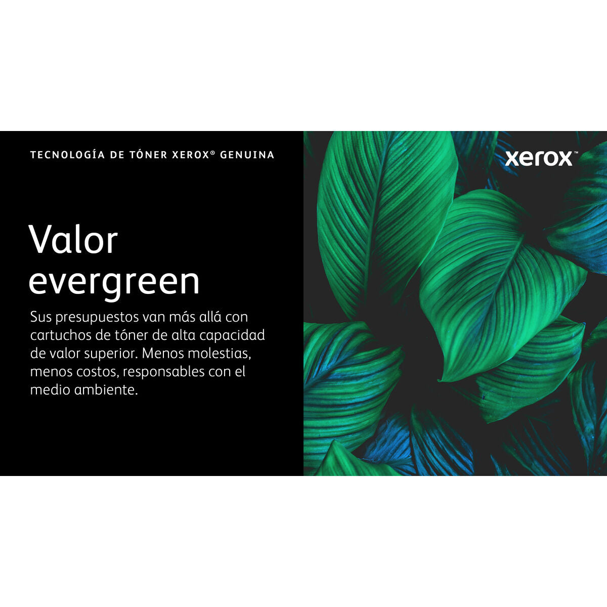 VersaLink C620 MG High Capacity Toner Ca