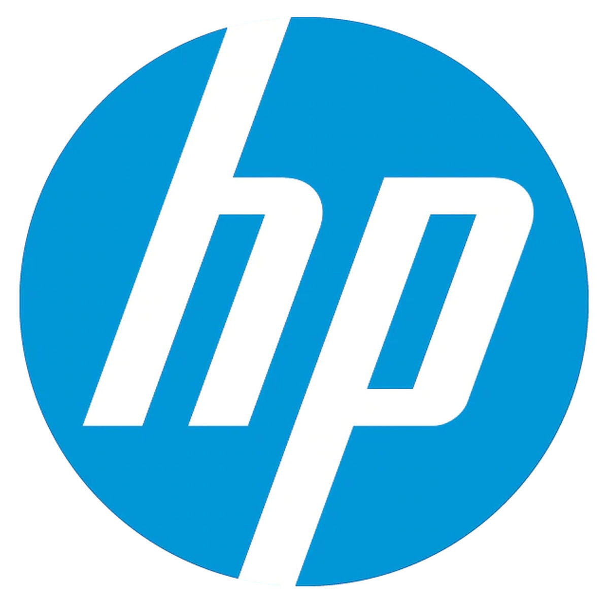 HP Z Turbo 1To PCIe-4x4 TLC SSD Module