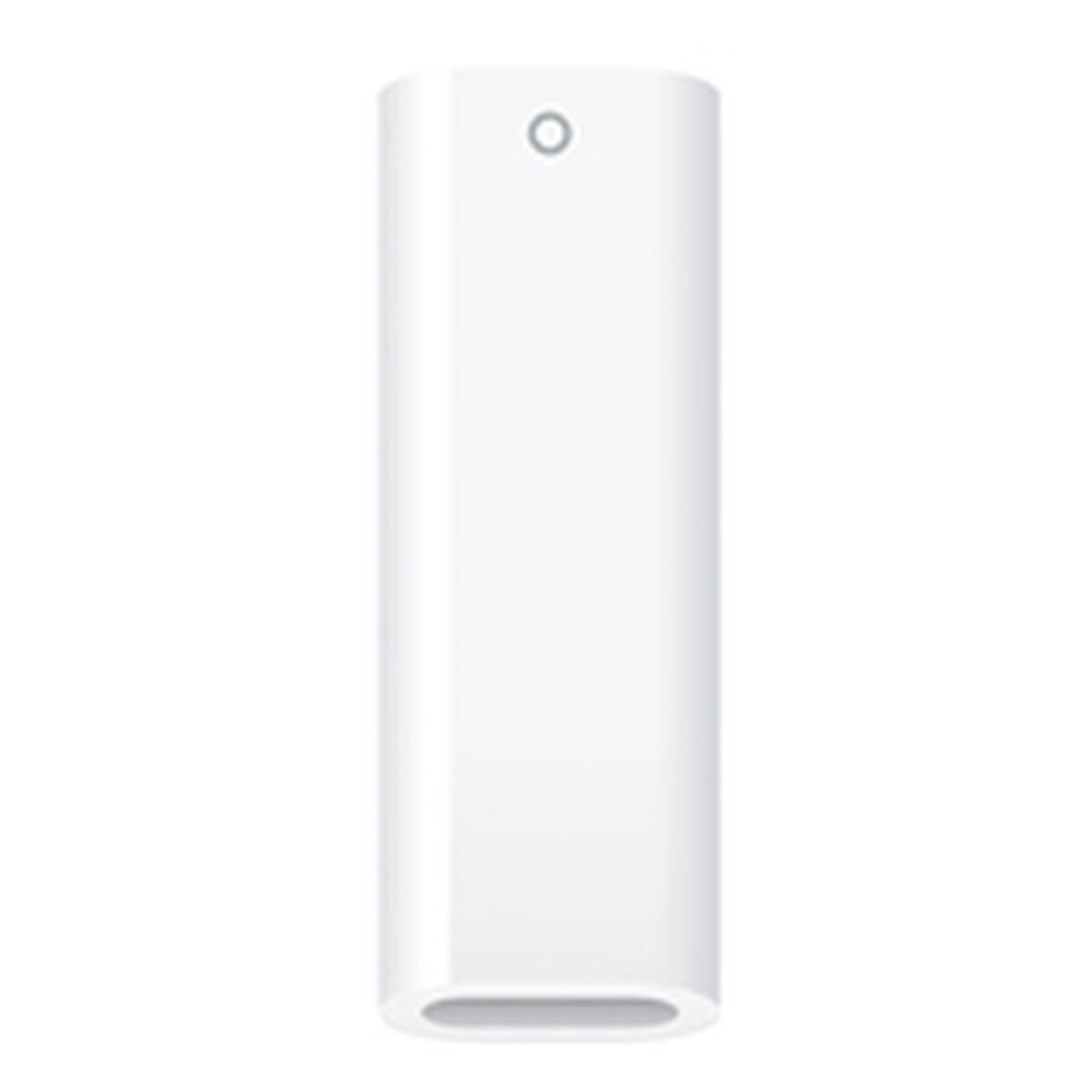 USB-C TO APPLE PENCIL ADAPTER