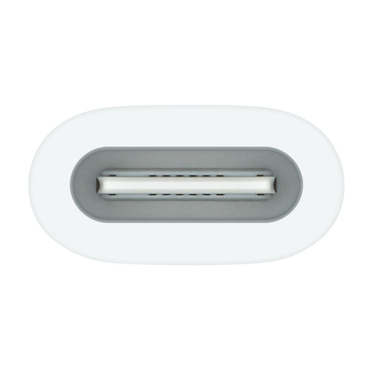 USB-C TO APPLE PENCIL ADAPTER