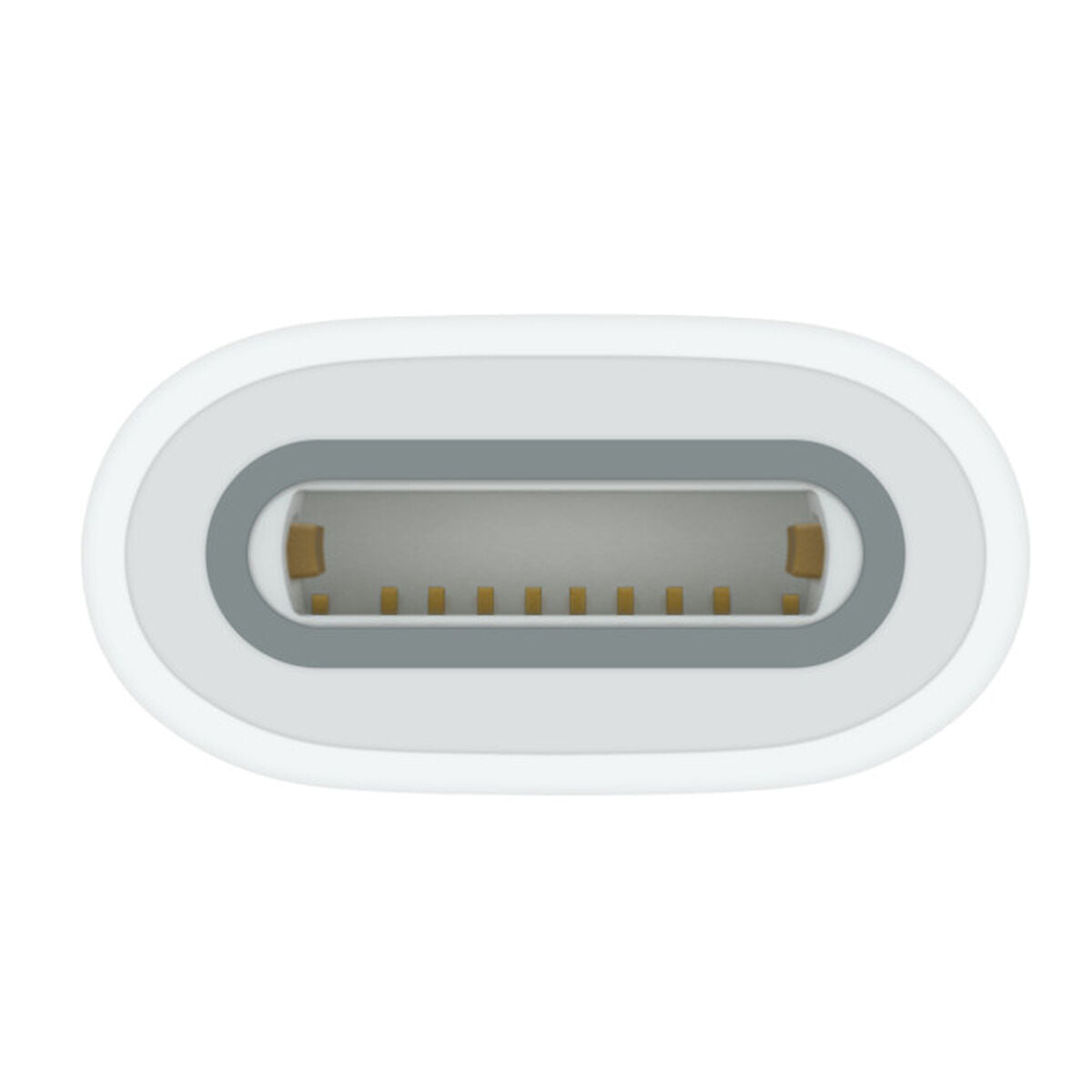 USB-C TO APPLE PENCIL ADAPTER