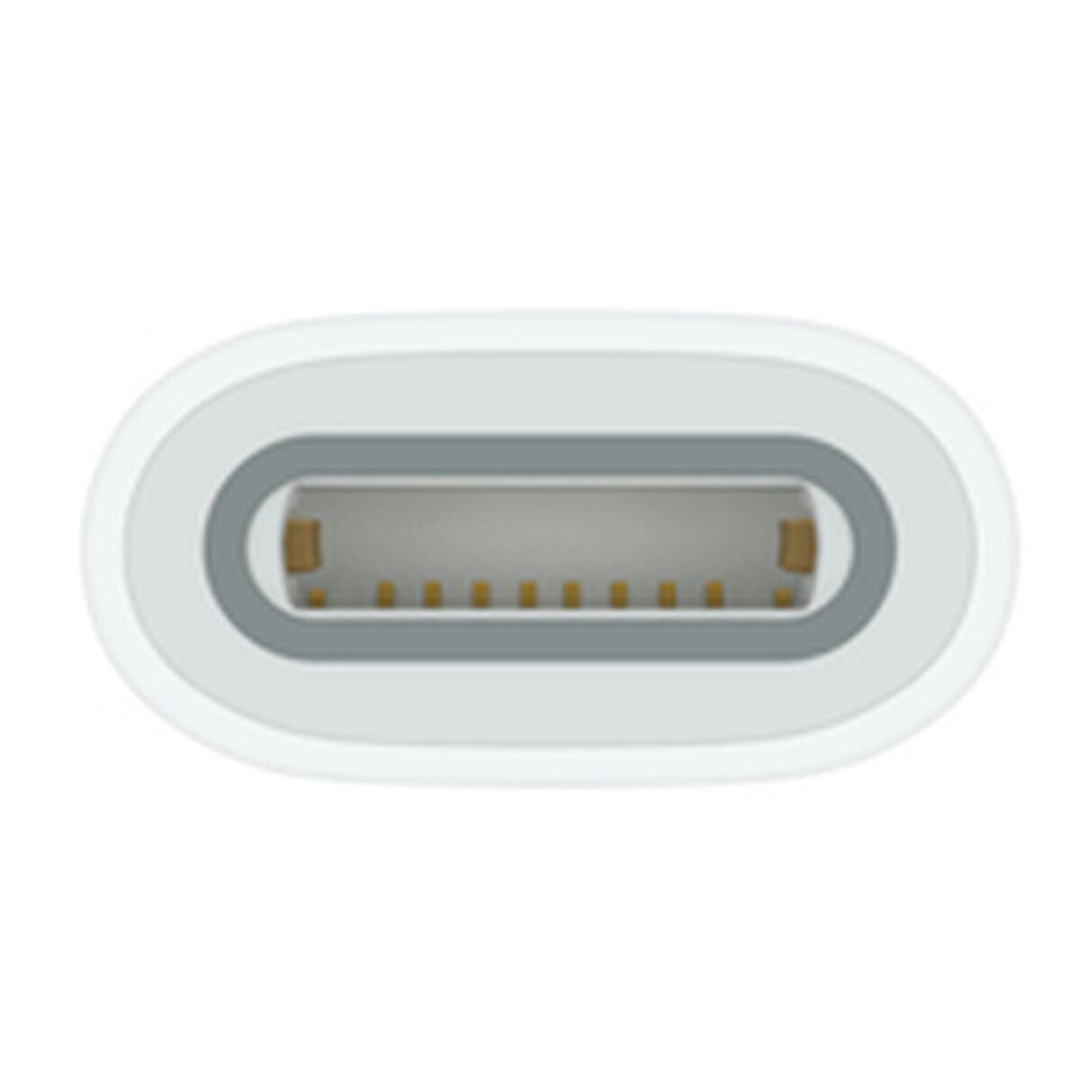 USB-C TO APPLE PENCIL ADAPTER