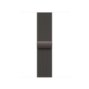 Apple Watch 42 Slate Ml