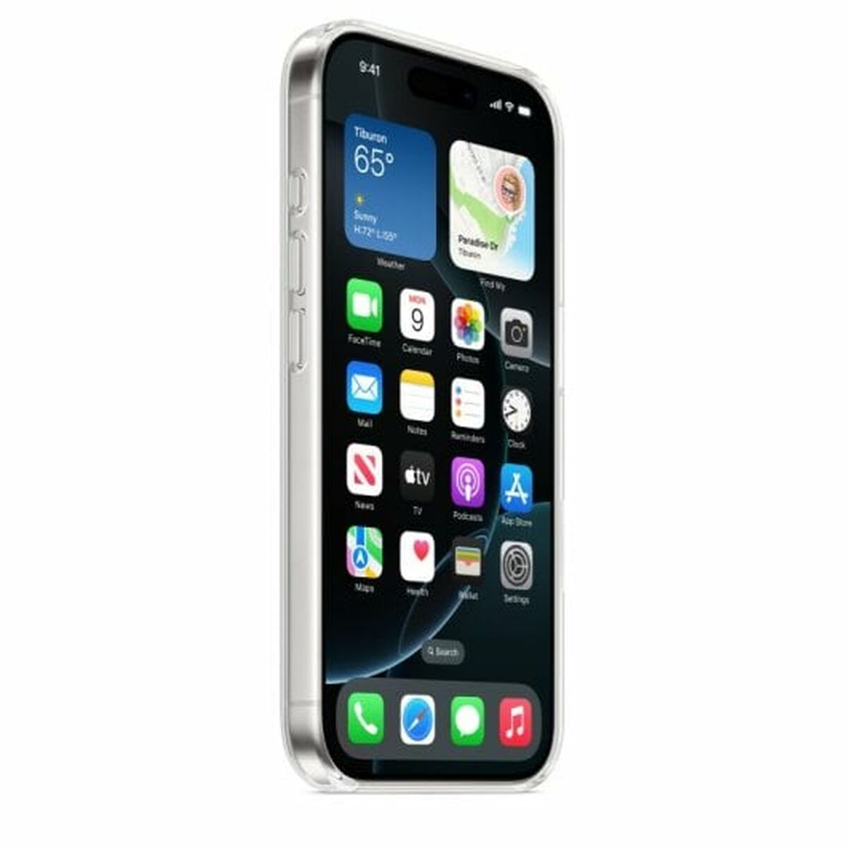 iPhone 16 Pro Cl Case