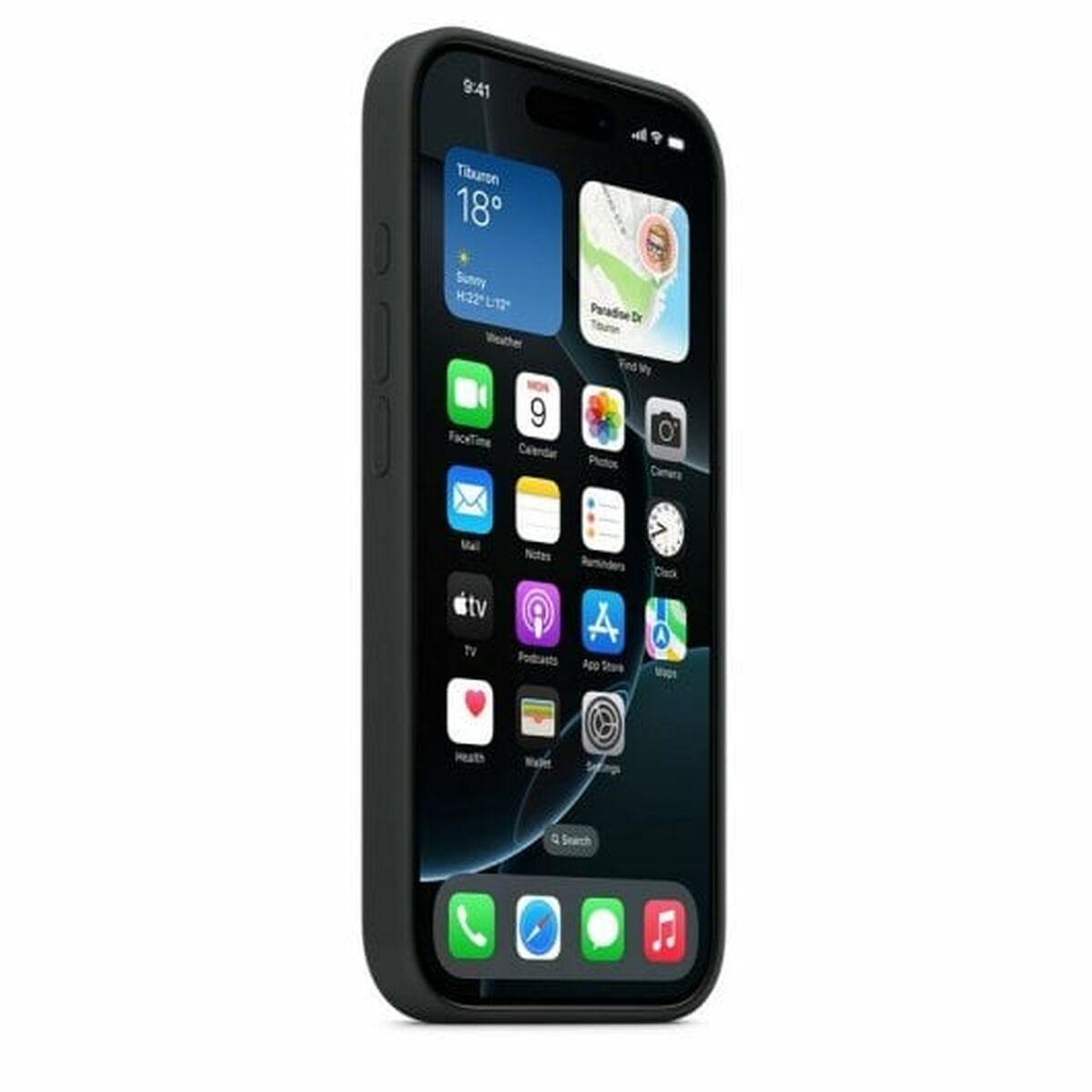 iPhone 16 Pro Si Case Black