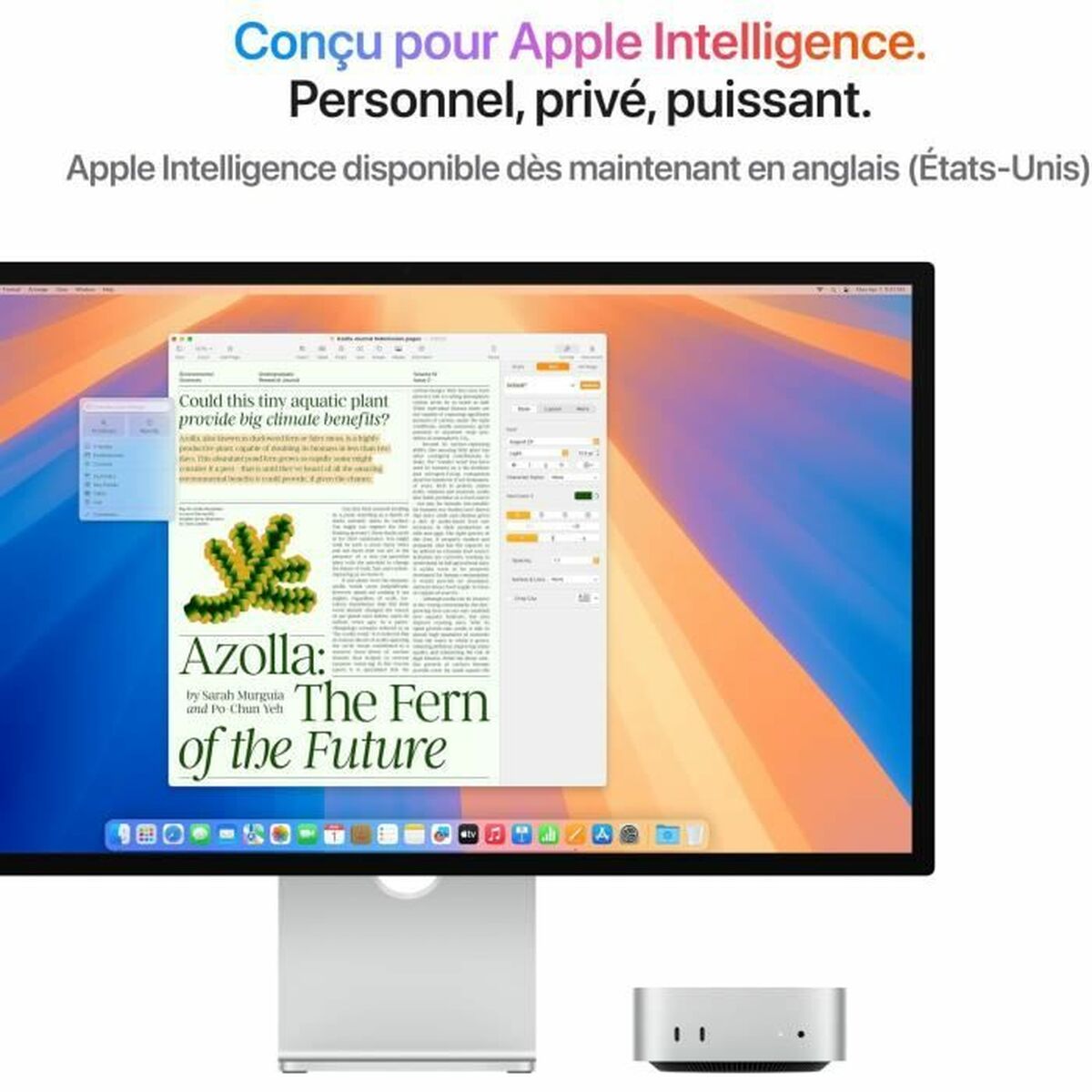 Mac Mini/10C CPU/10C GPU/24GB/512GB