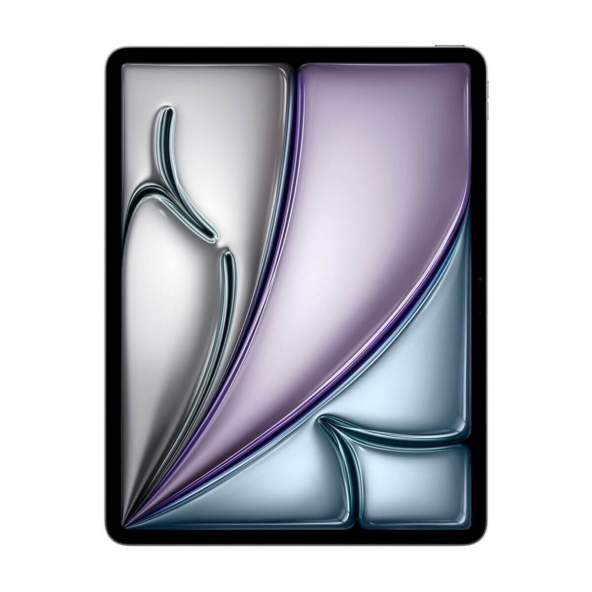 iPad Air 13 pouces Wi-Fi + Cellular 256 Go - Gris sidéral