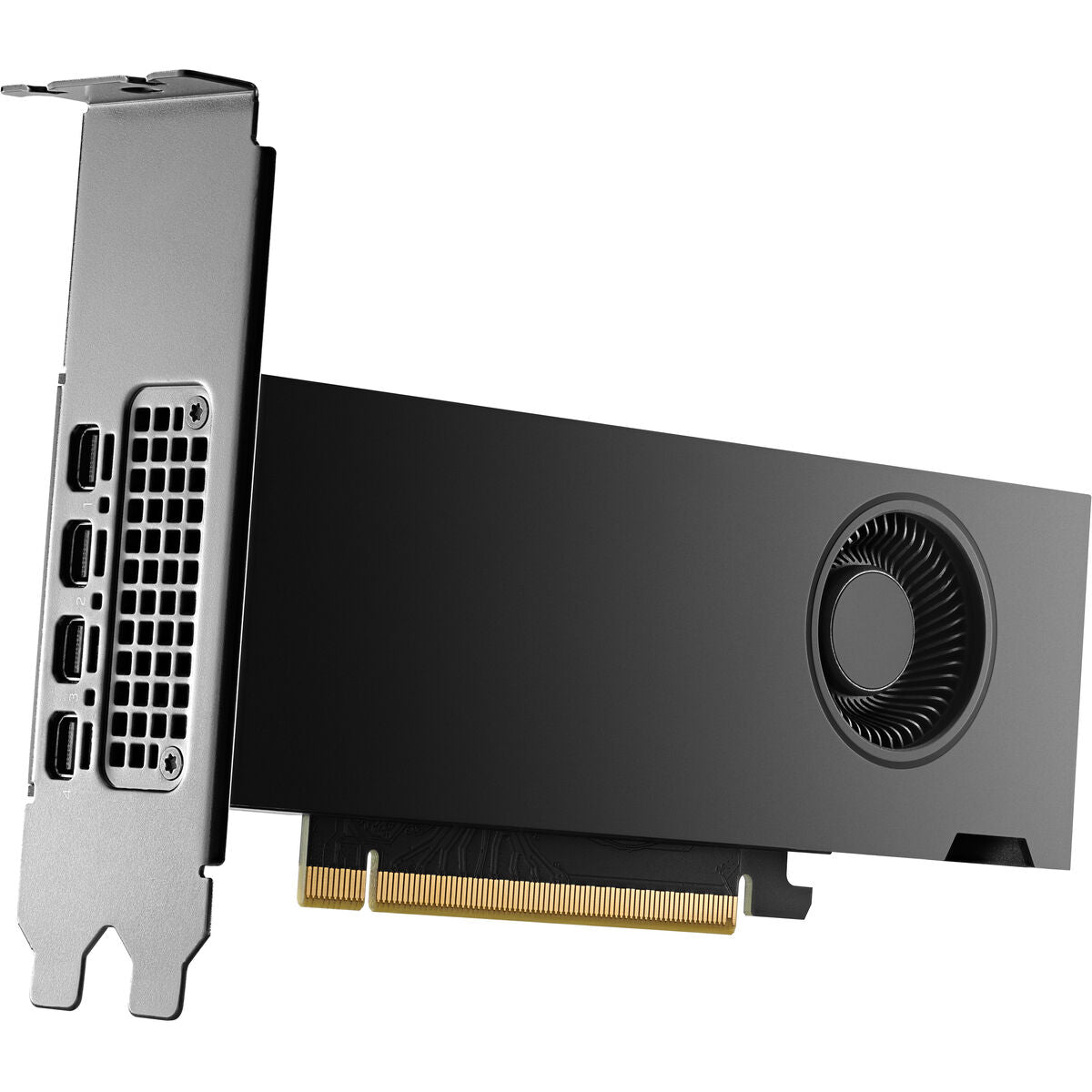 HP NVIDIA RTX 2000 Ada 16Go 4mDP Graphics
