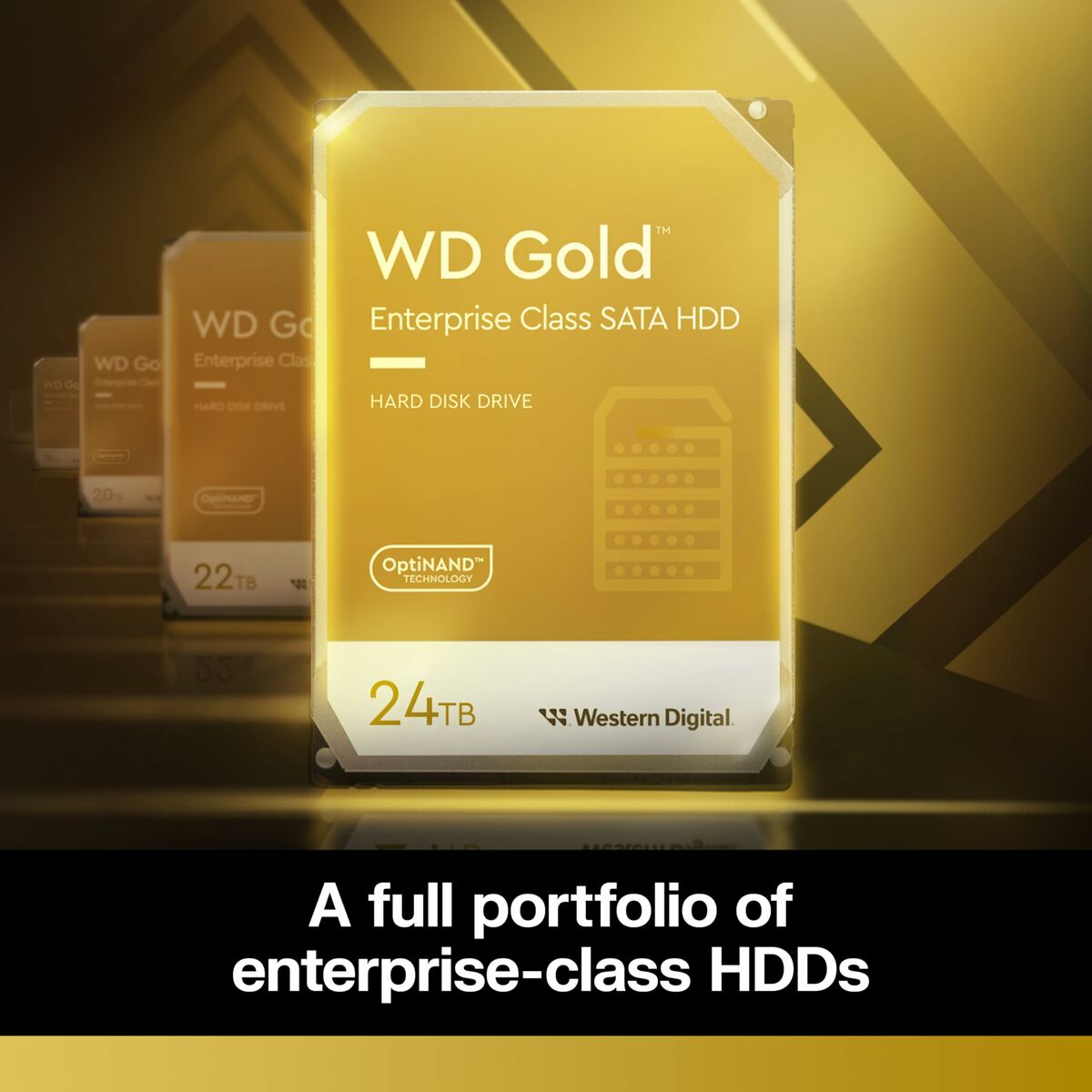 HDD Gold 24TB SATA 512MB 3.5"