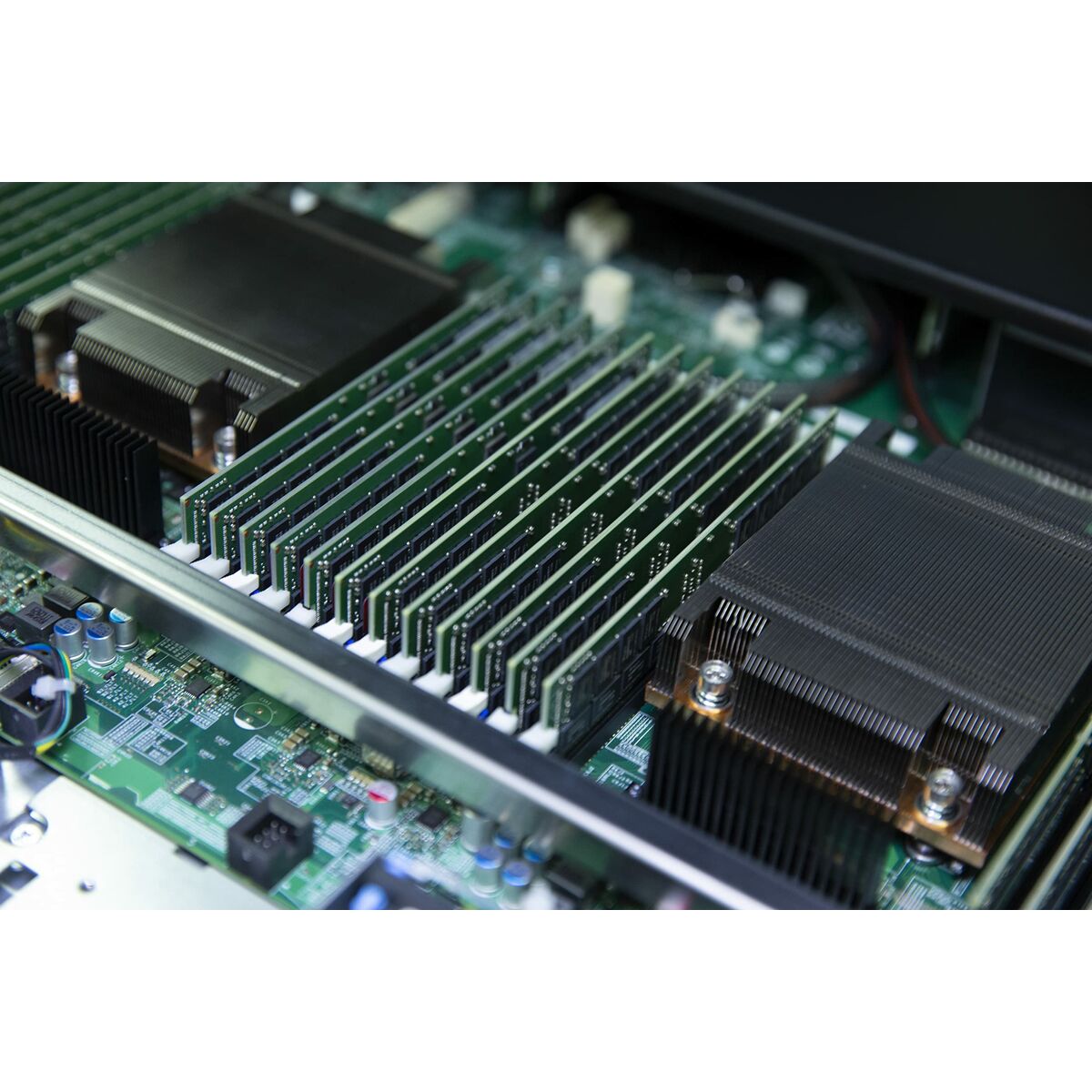 Module de mémoire Kingston Technology KTL-TS548E-16G 16 Go 1 x 16 Go DDR5 4800 MT/s ECC