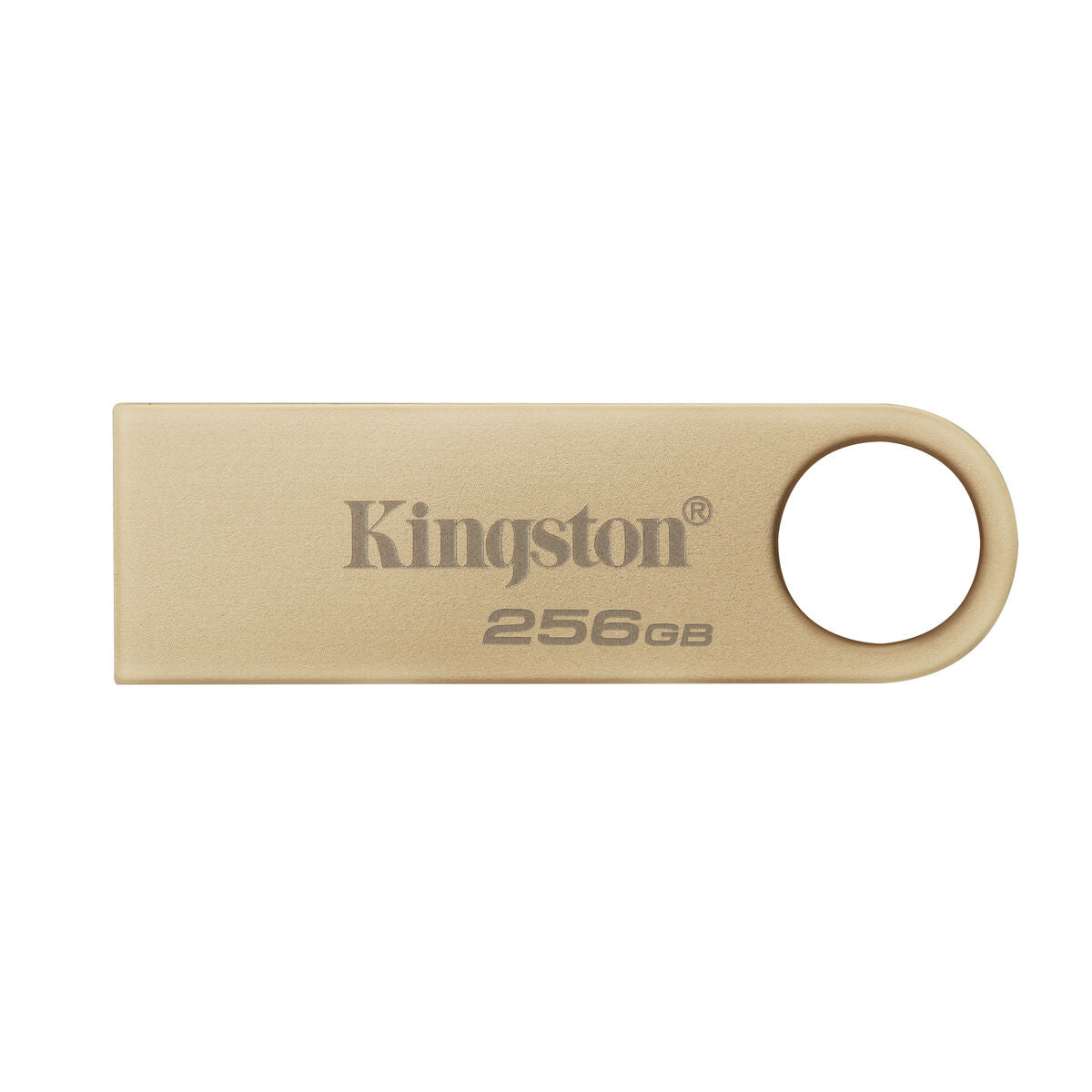 KINGSTON 256Go 220Mo/s Metal USB 3.2 Gen 1 DataTraveler SE9 G3