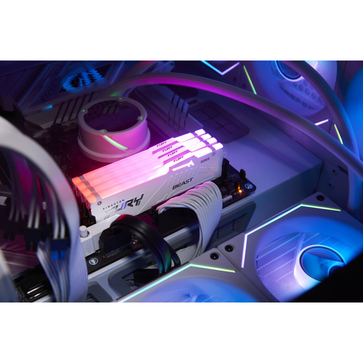 KINGSTON 16Go 6000MT/s DDR5 CL30 DIMM FURY Beast White RGB EXPO