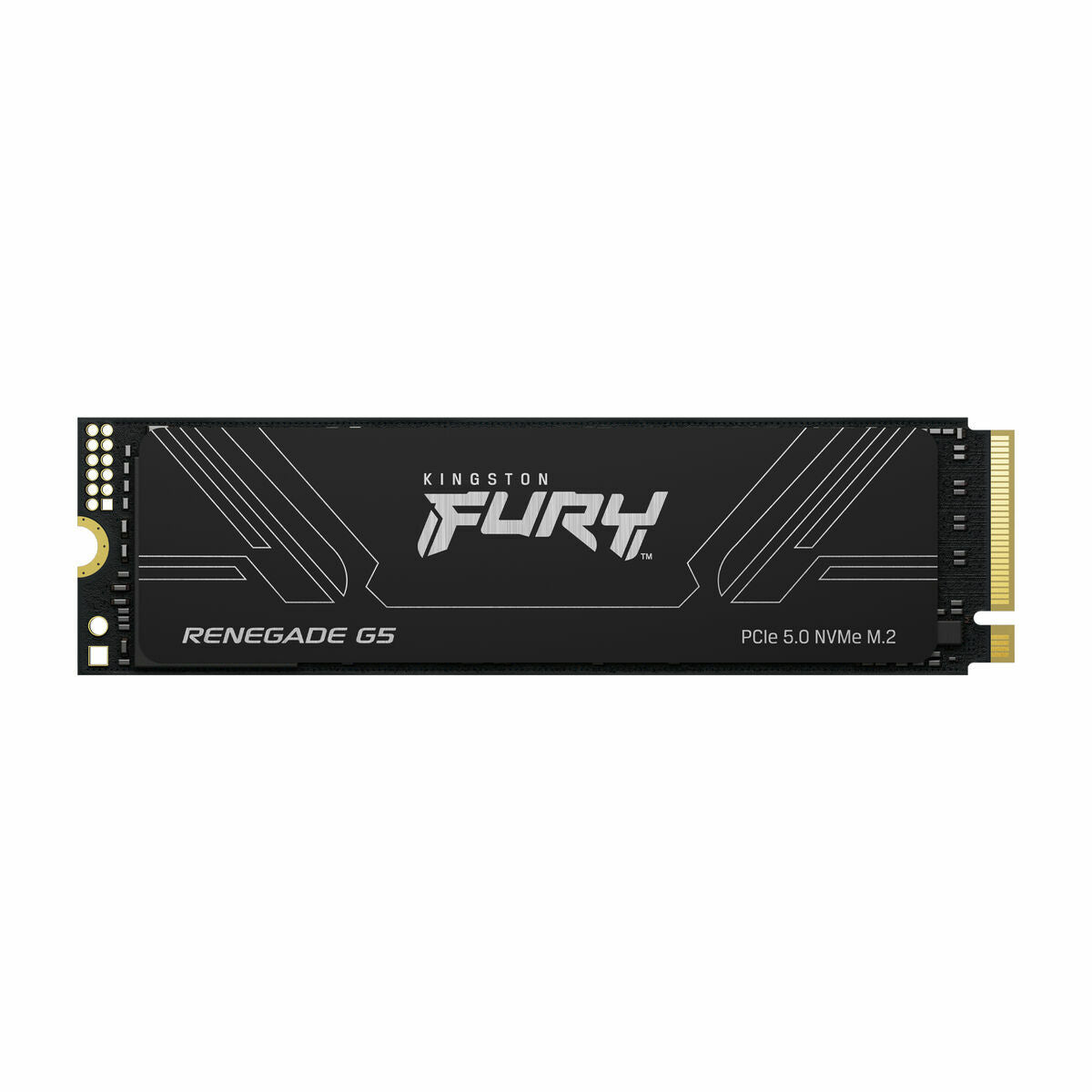KINGSTON FURY Renegade G5 4096Go PCIe 5.0 M.2 NVMe SSD