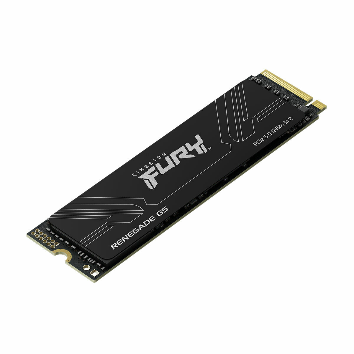 KINGSTON FURY Renegade G5 4096Go PCIe 5.0 M.2 NVMe SSD