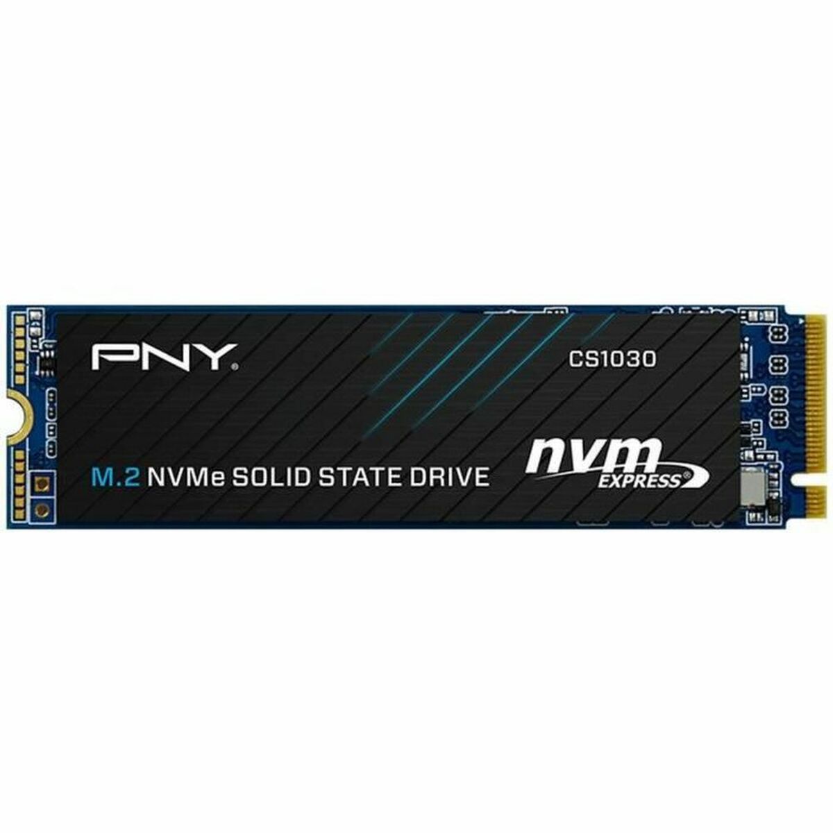 SSD CS1030 M.2 NVMe GEN3 250GB