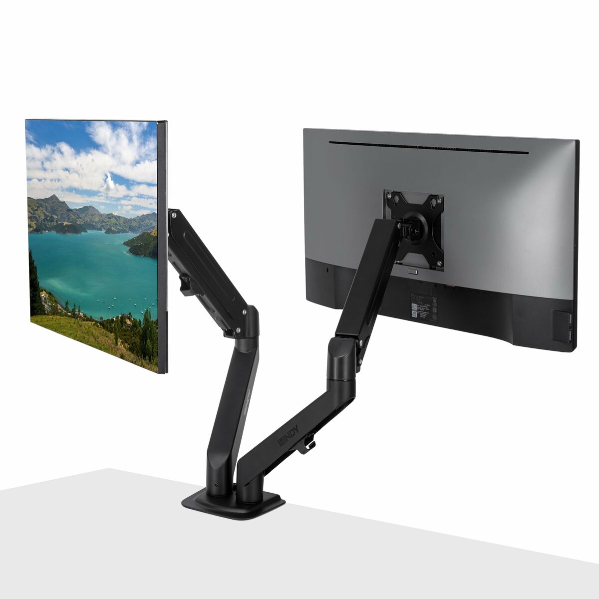 LINDY Dual Mount Desktop Gas Spring Arm - Black