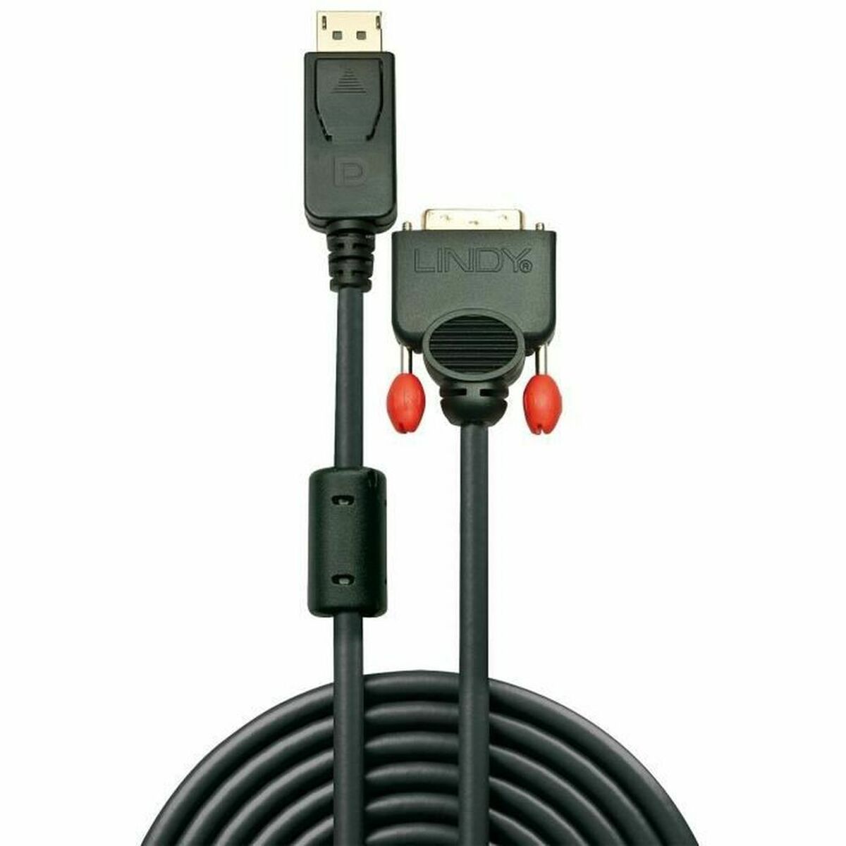 LINDY Câble DisplayPort vers DVI 1m