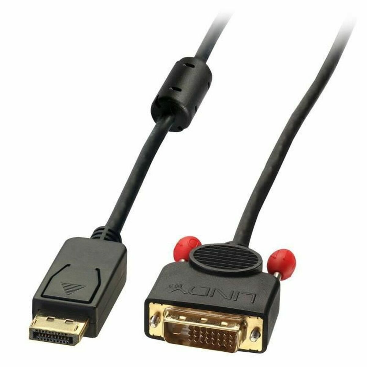LINDY Câble DisplayPort vers DVI 2m