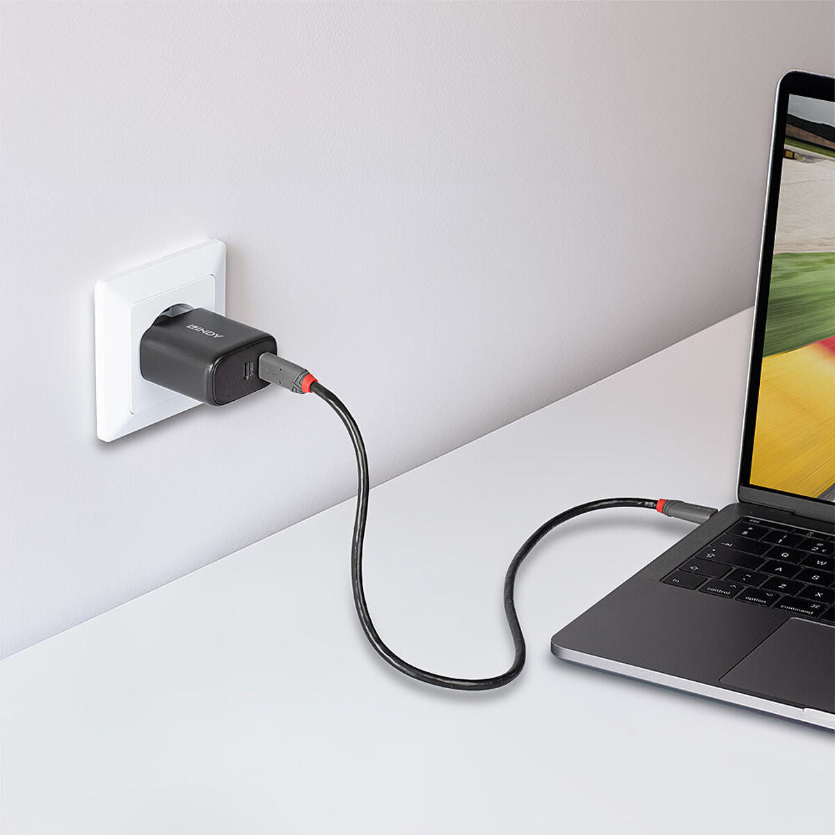 LINDY 65W USB 2 x Type C GaN Charger