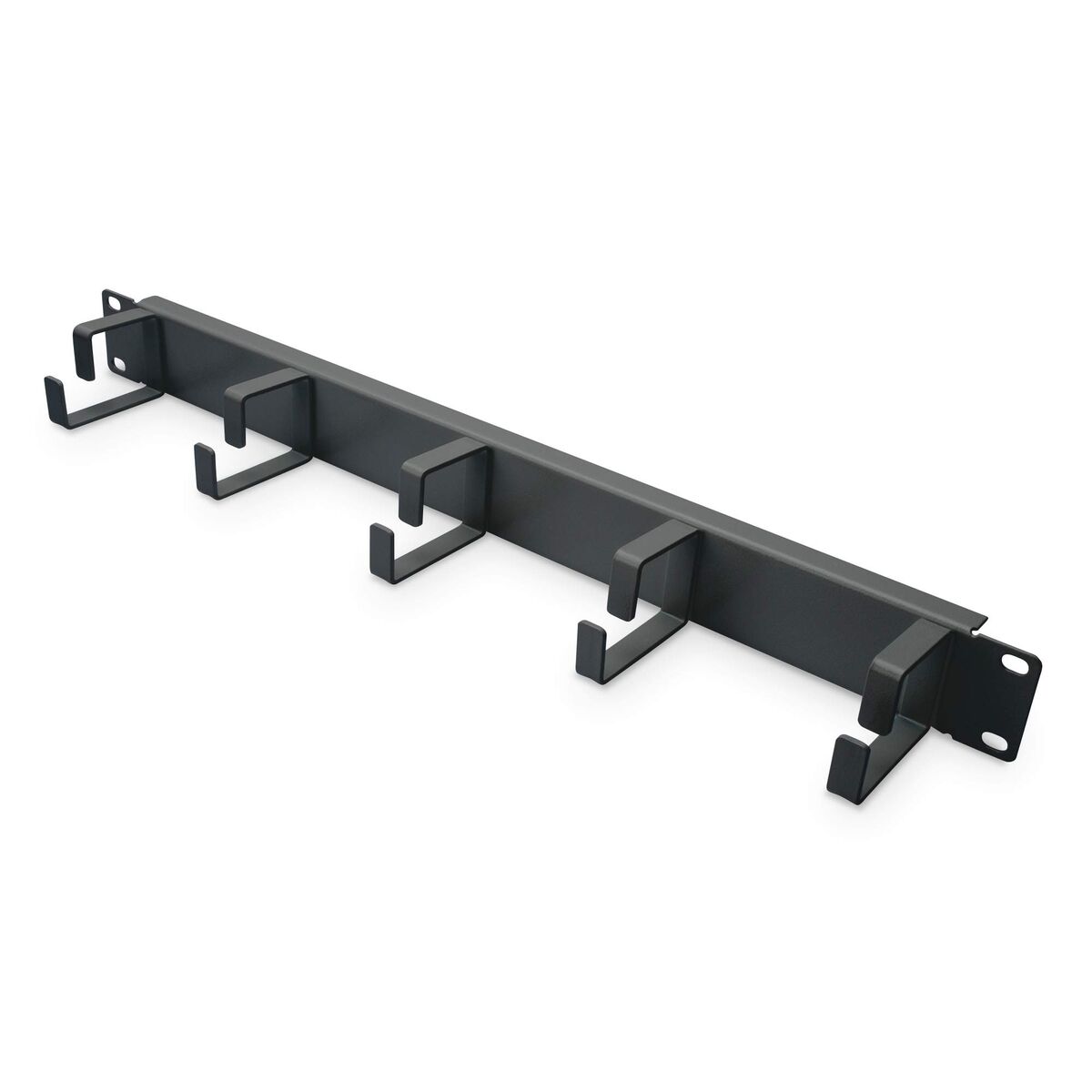 Digitus Panneau de rangement de câbles avec anneaux pour armoires de 483 mm (19 po), 1 UH