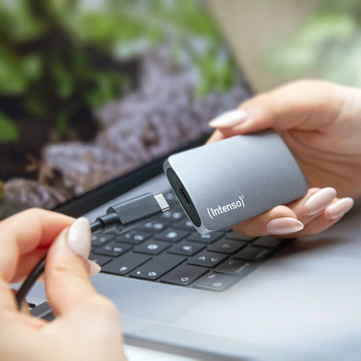 INTENSO SSD Externe TX800 500 Go