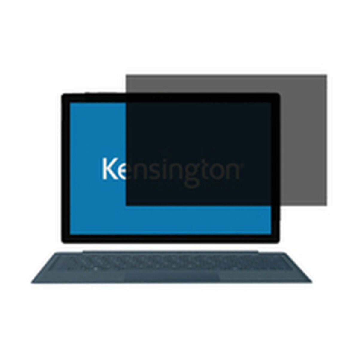 Privacy Plg Surface Pro 2017